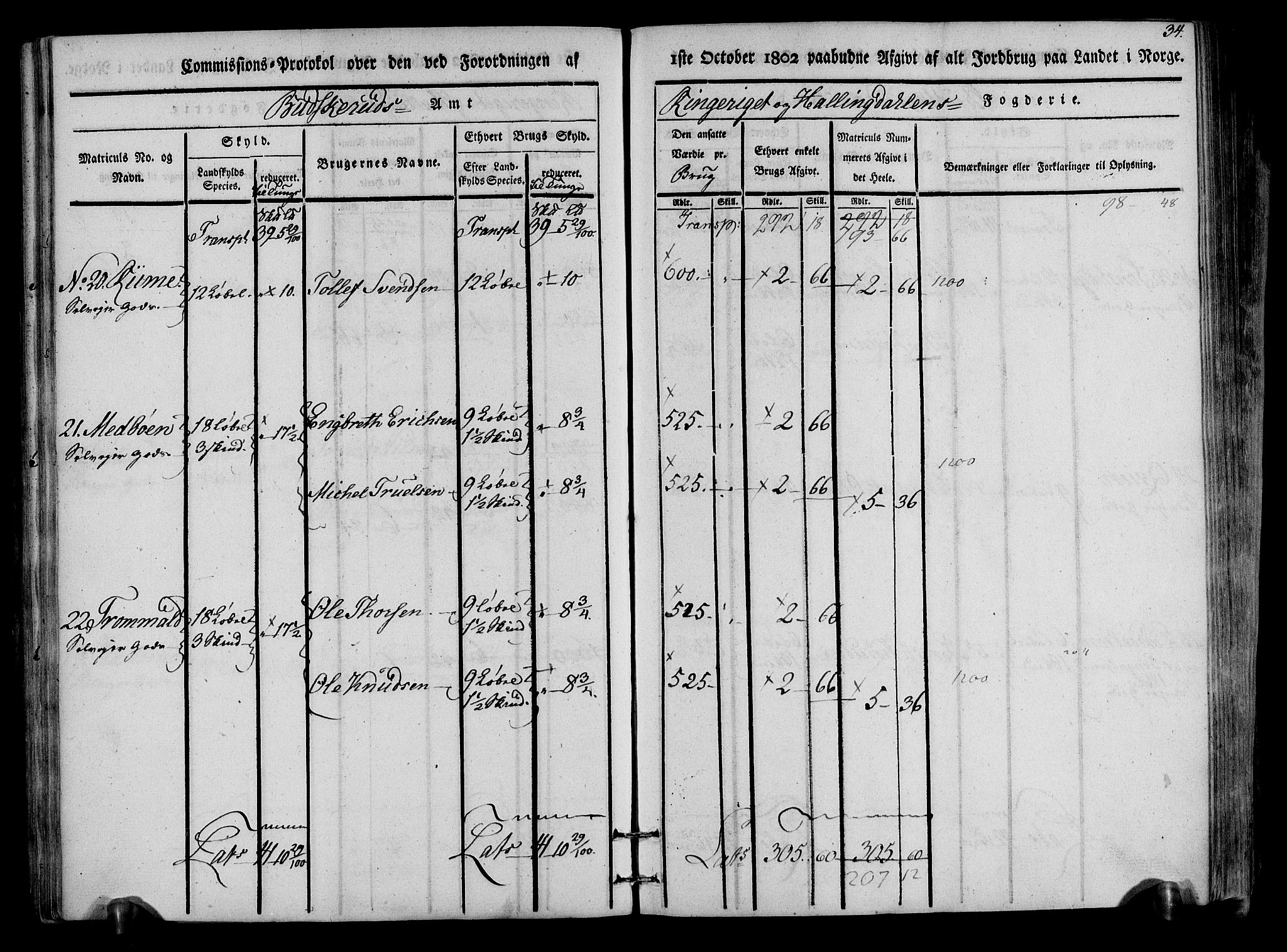 Rentekammeret inntil 1814, Realistisk ordnet avdeling, AV/RA-EA-4070/N/Ne/Nea/L0047: Ringerike og Hallingdal fogderi. Kommisjonsprotokoll for Nes prestegjeld, 1803, s. 36