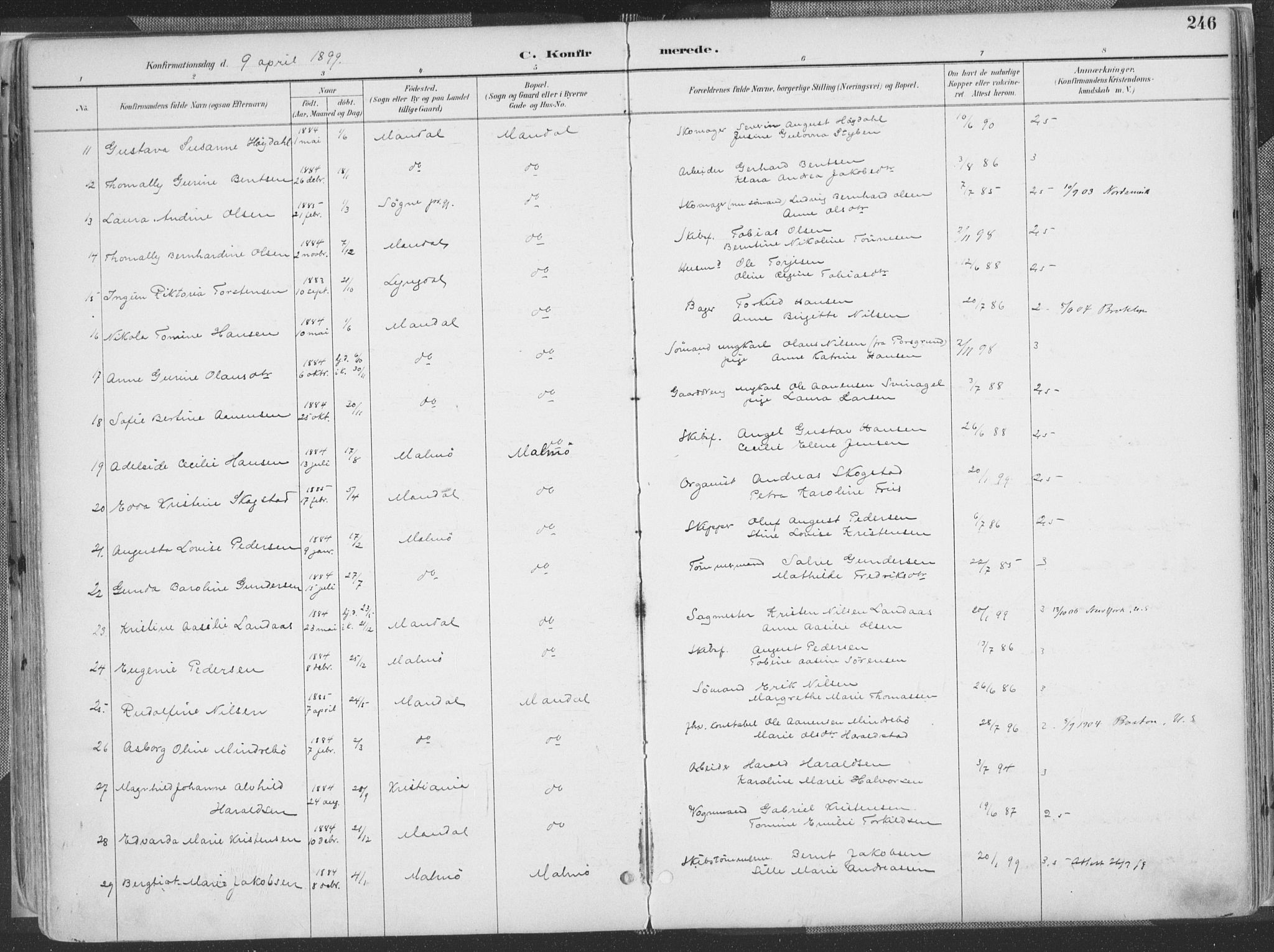 Mandal sokneprestkontor, AV/SAK-1111-0030/F/Fa/Faa/L0018: Ministerialbok nr. A 18, 1890-1905, s. 246