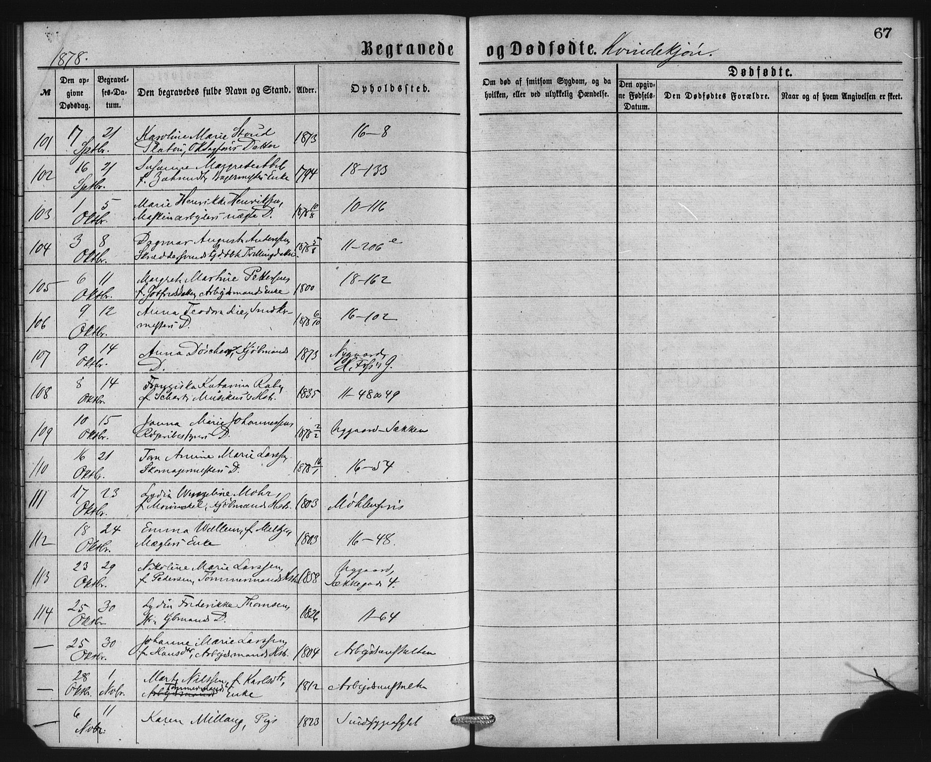 Domkirken sokneprestembete, AV/SAB-A-74801/H/Haa: Ministerialbok nr. E 4, 1877-1881, s. 67