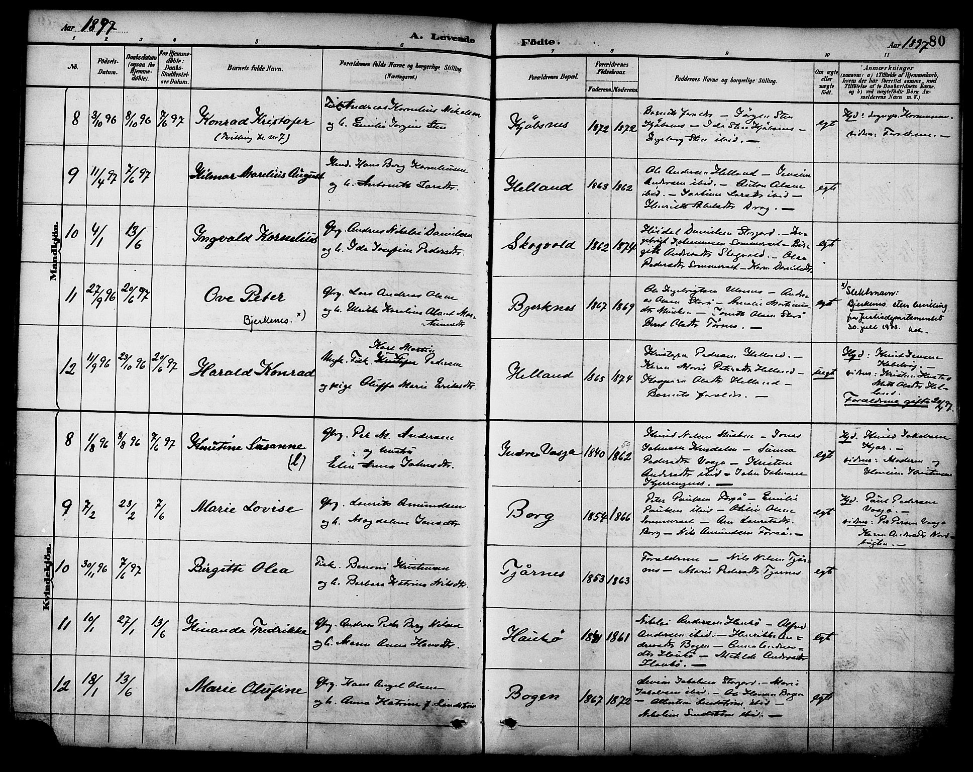 Ministerialprotokoller, klokkerbøker og fødselsregistre - Nordland, AV/SAT-A-1459/861/L0869: Ministerialbok nr. 861A04, 1889-1903, s. 80