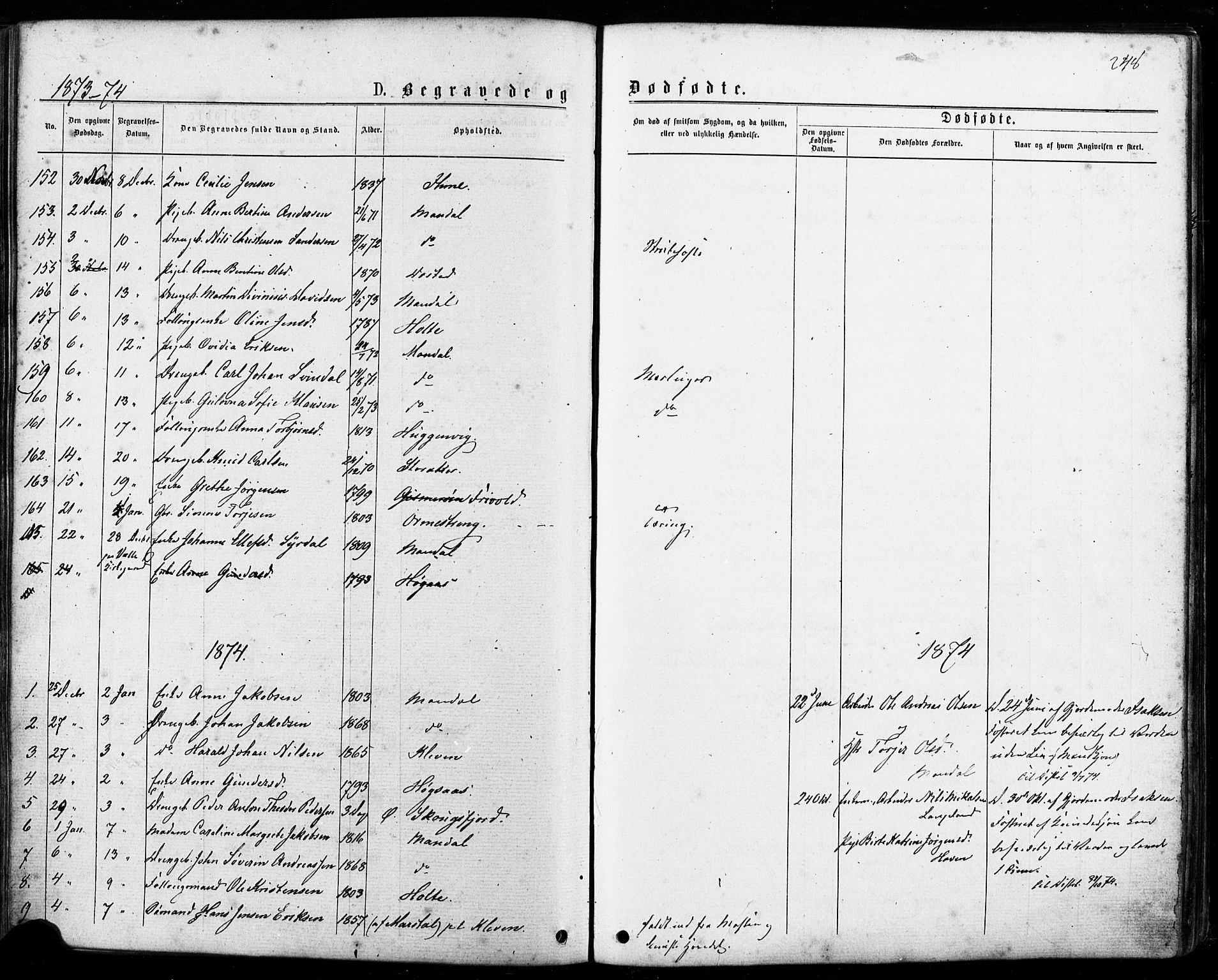 Mandal sokneprestkontor, SAK/1111-0030/F/Fa/Faa/L0015: Ministerialbok nr. A 15, 1873-1879, s. 248
