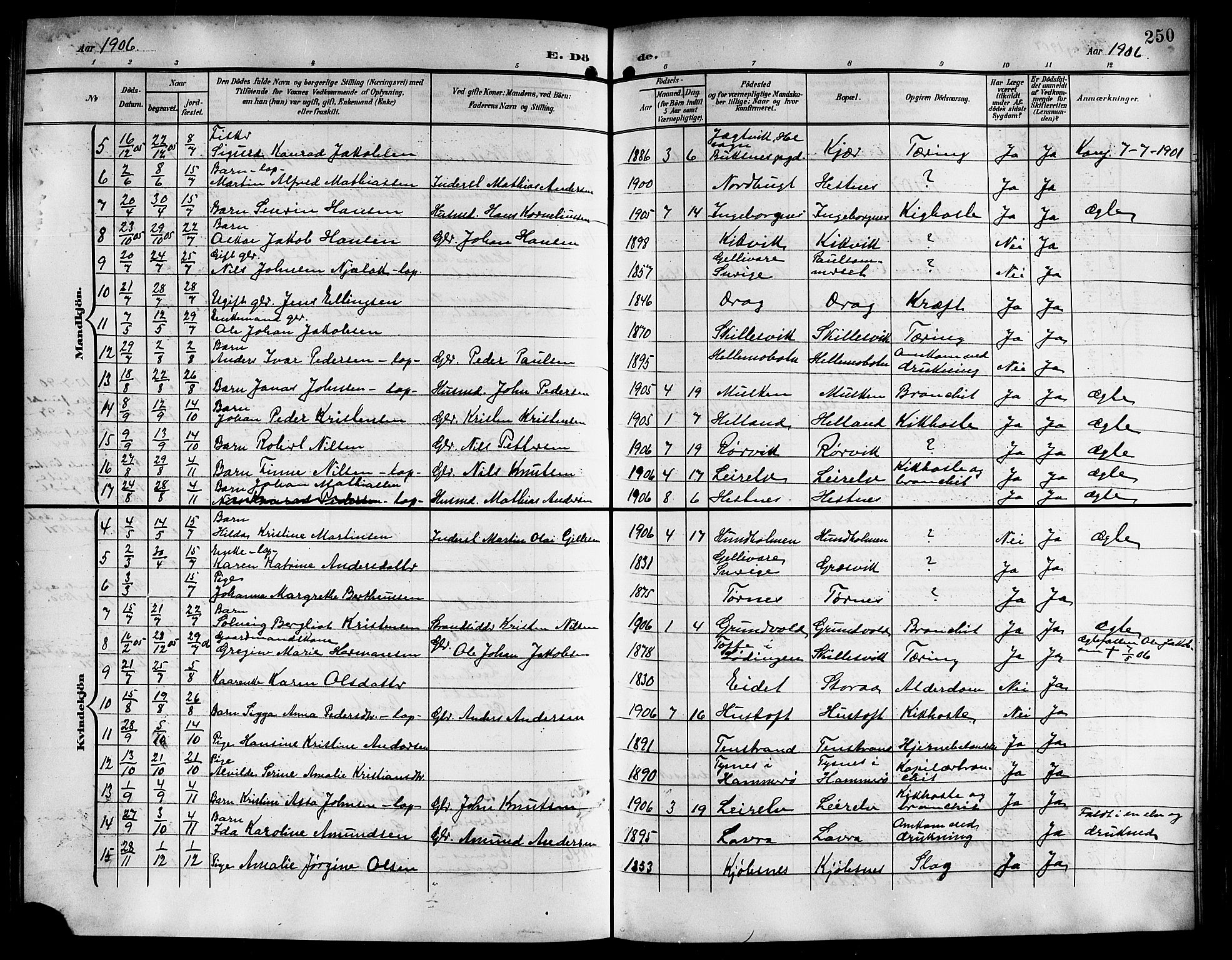 Ministerialprotokoller, klokkerbøker og fødselsregistre - Nordland, AV/SAT-A-1459/861/L0877: Klokkerbok nr. 861C03, 1903-1919, s. 250