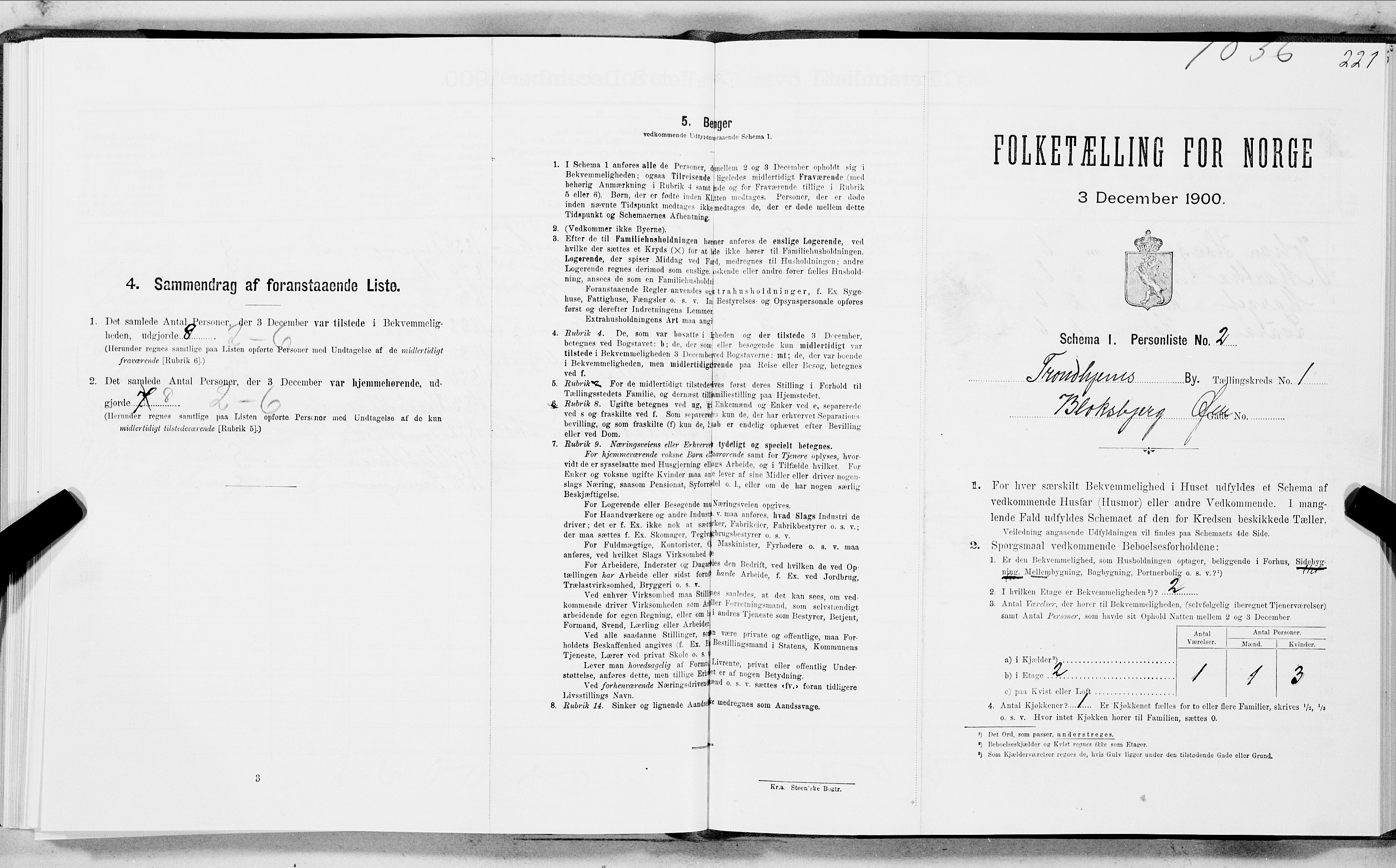 SAT, Folketelling 1900 for 1601 Trondheim kjøpstad, 1900, s. 393