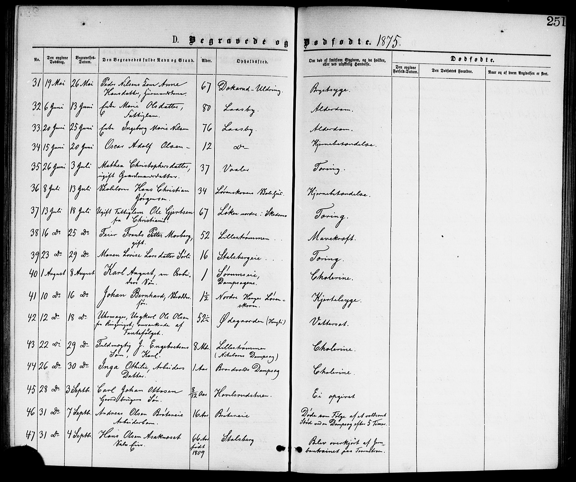 Skedsmo prestekontor Kirkebøker, AV/SAO-A-10033a/G/Ga/L0003: Klokkerbok nr. I 3, 1873-1882, s. 251
