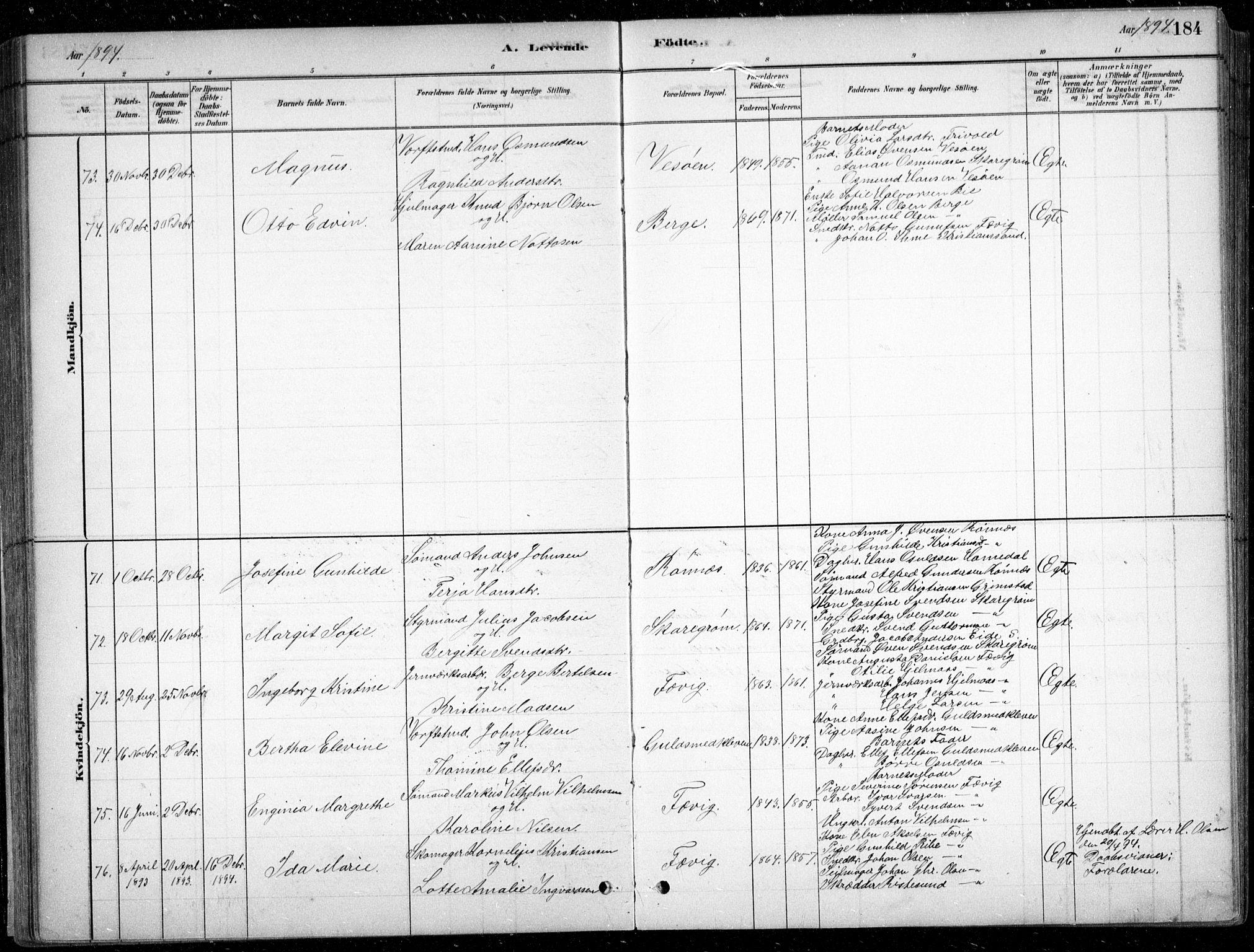 Fjære sokneprestkontor, AV/SAK-1111-0011/F/Fb/L0011: Klokkerbok nr. B 11, 1881-1905, s. 184