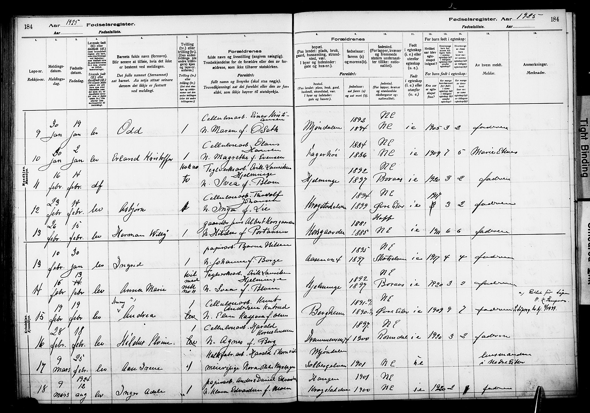 Nedre Eiker kirkebøker, AV/SAKO-A-612/J/Ja/L0001: Fødselsregister nr. 1, 1916-1925, s. 184