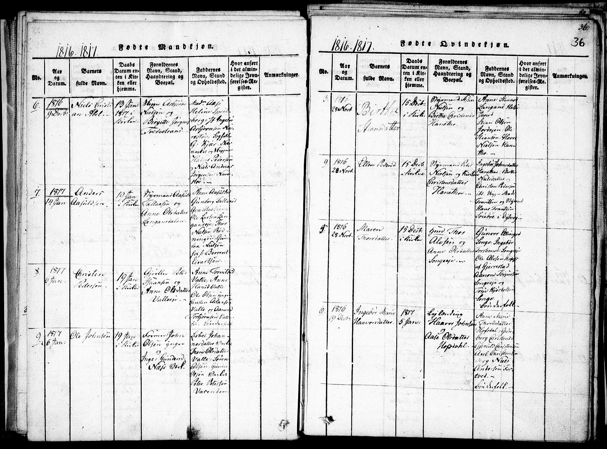 Holt sokneprestkontor, AV/SAK-1111-0021/F/Fa/L0005: Ministerialbok nr. A 5, 1813-1821, s. 36