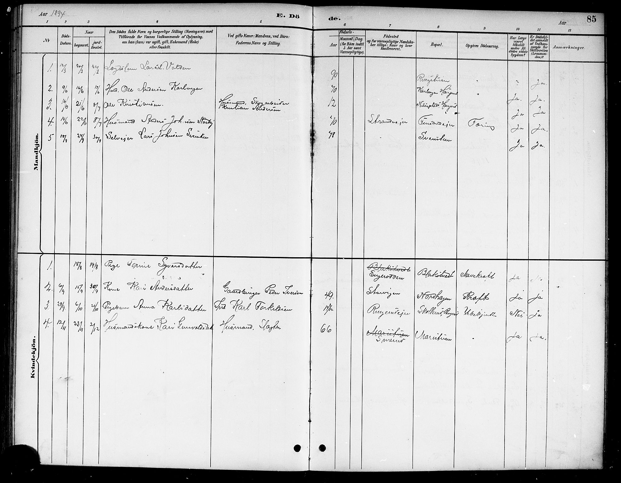 Ådal kirkebøker, AV/SAKO-A-248/G/Ga/L0004: Klokkerbok nr.  I 4, 1891-1920, s. 85