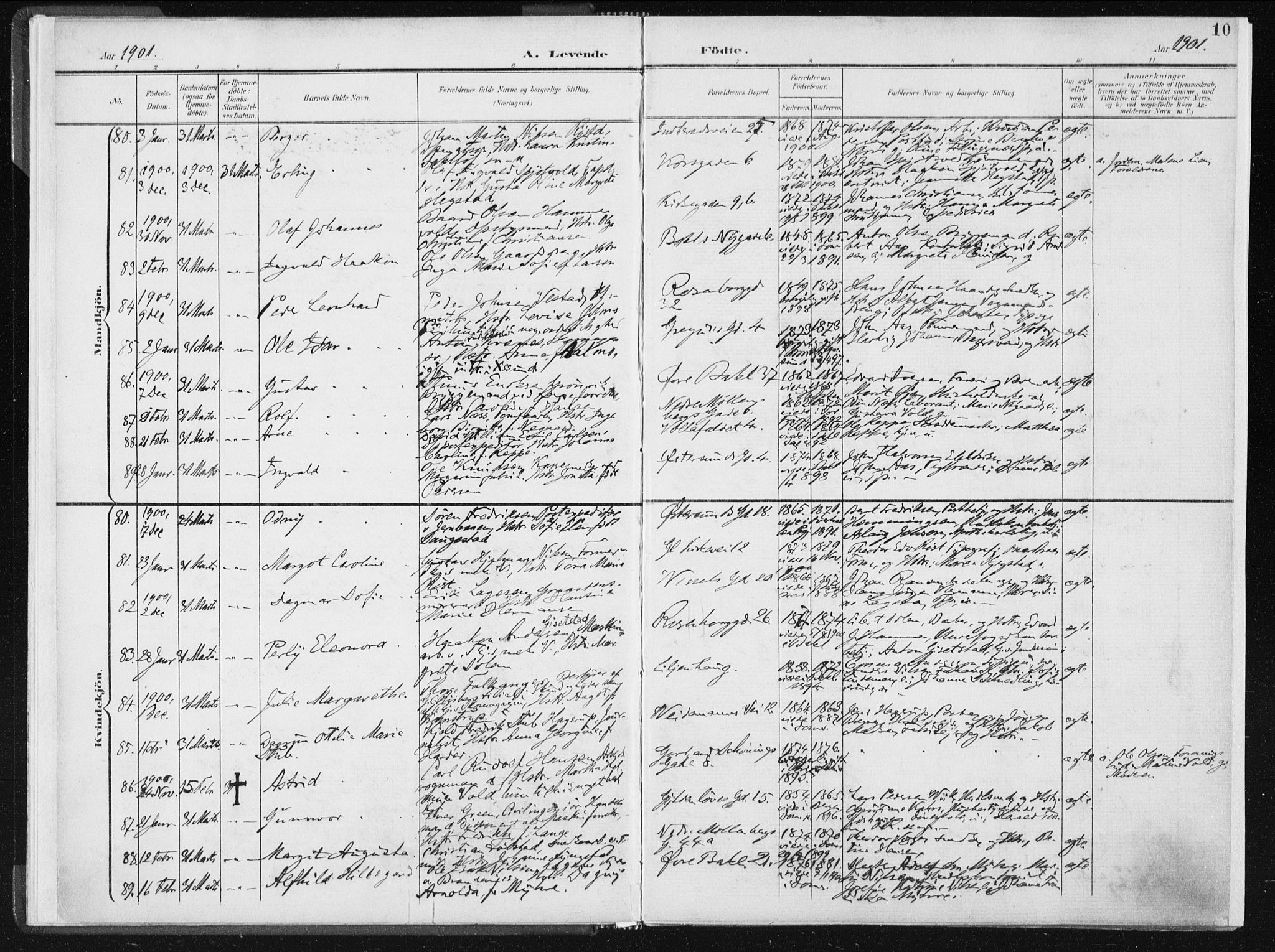 Ministerialprotokoller, klokkerbøker og fødselsregistre - Sør-Trøndelag, AV/SAT-A-1456/604/L0199: Ministerialbok nr. 604A20I, 1901-1906, s. 10
