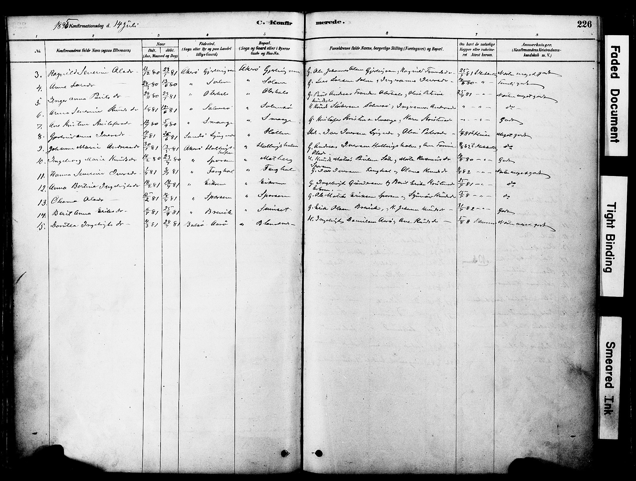 Ministerialprotokoller, klokkerbøker og fødselsregistre - Møre og Romsdal, AV/SAT-A-1454/560/L0721: Ministerialbok nr. 560A05, 1878-1917, s. 226