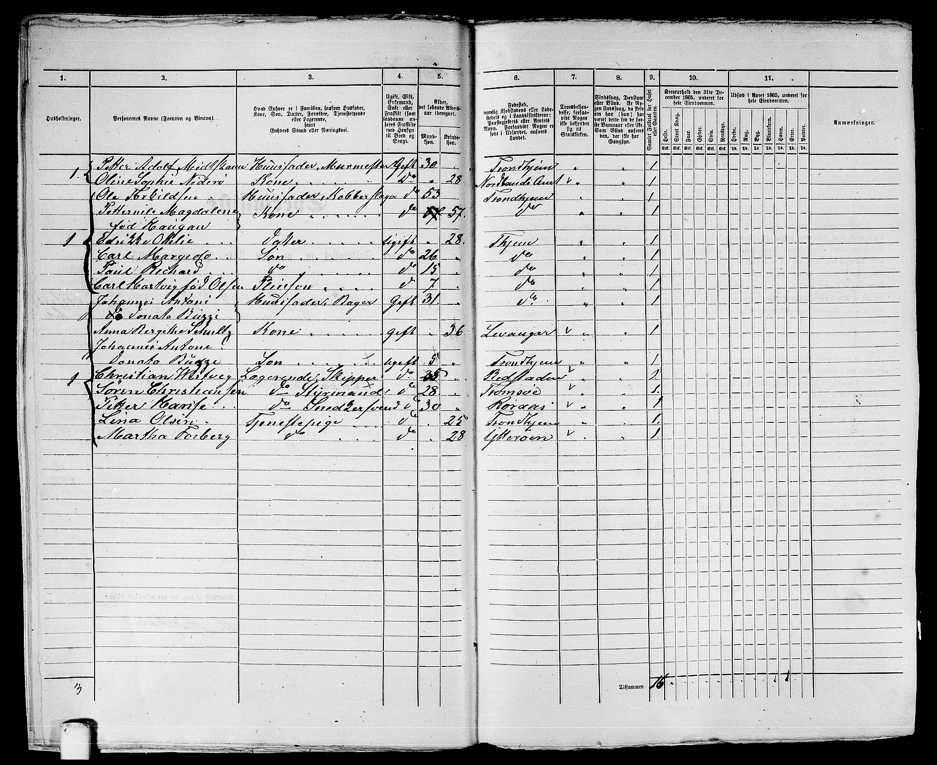 RA, Folketelling 1865 for 1601 Trondheim kjøpstad, 1865, s. 1058