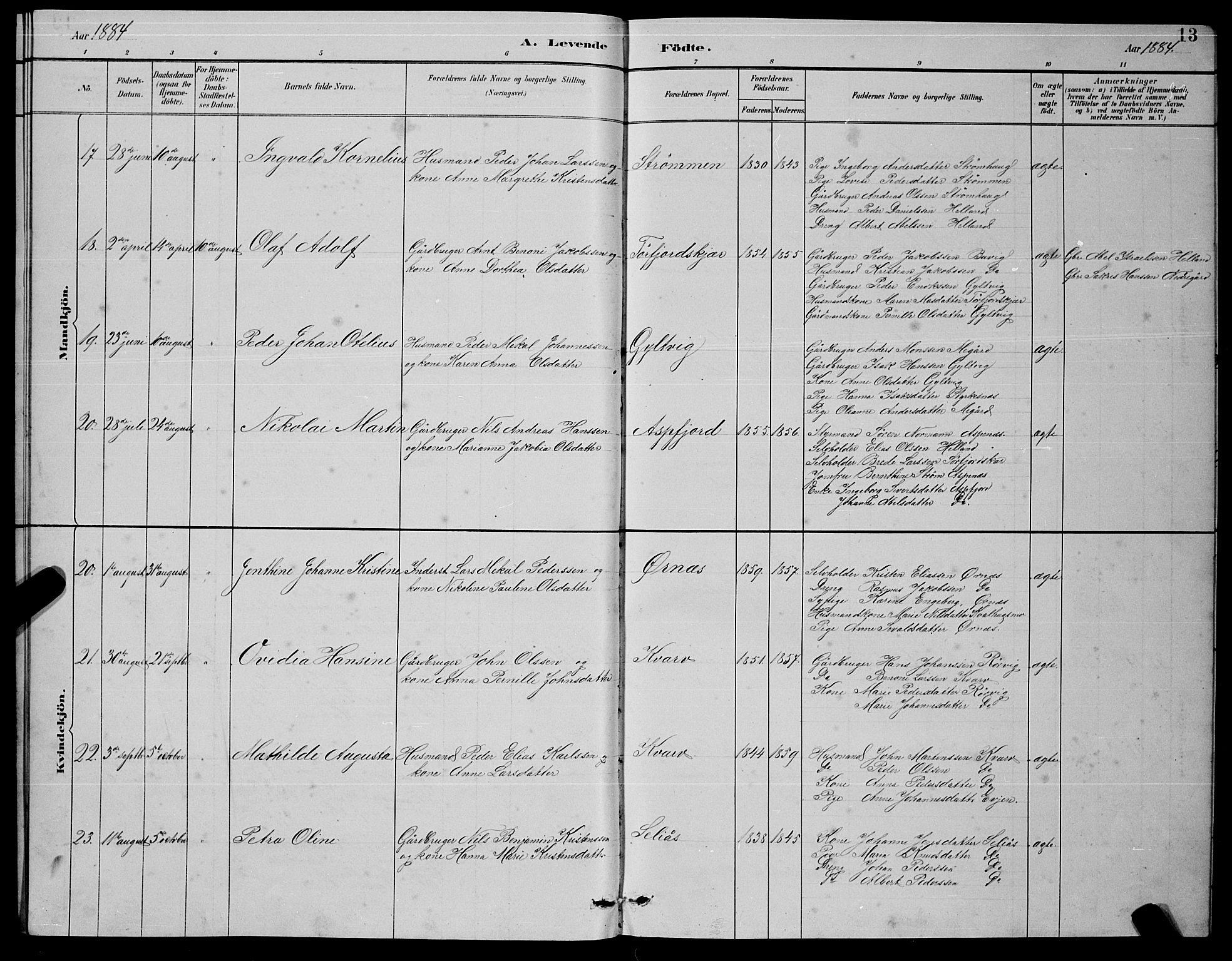 Ministerialprotokoller, klokkerbøker og fødselsregistre - Nordland, AV/SAT-A-1459/854/L0785: Klokkerbok nr. 854C01, 1883-1891, s. 13