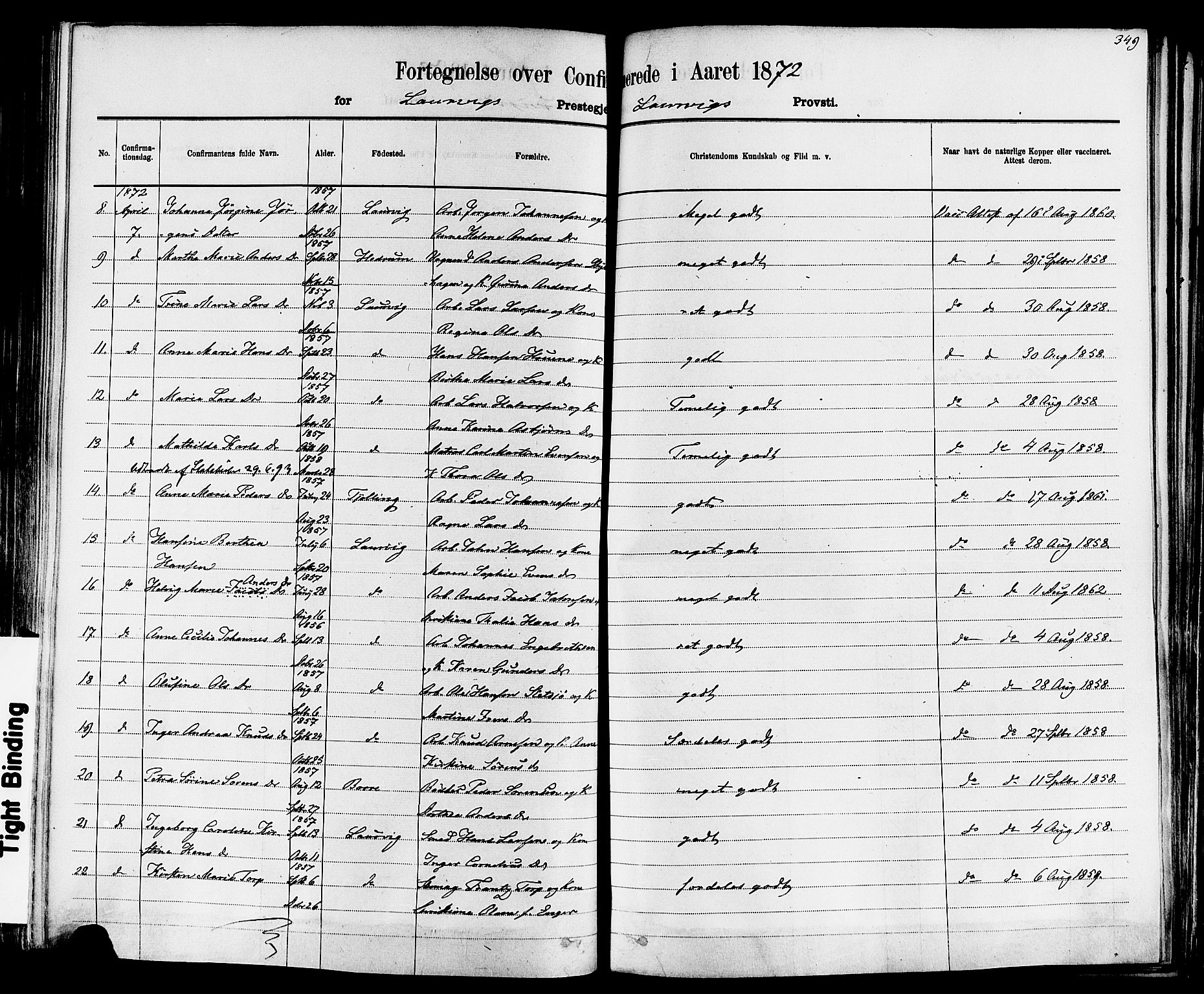 Larvik kirkebøker, SAKO/A-352/F/Fa/L0006: Ministerialbok nr. I 6, 1871-1883, s. 349