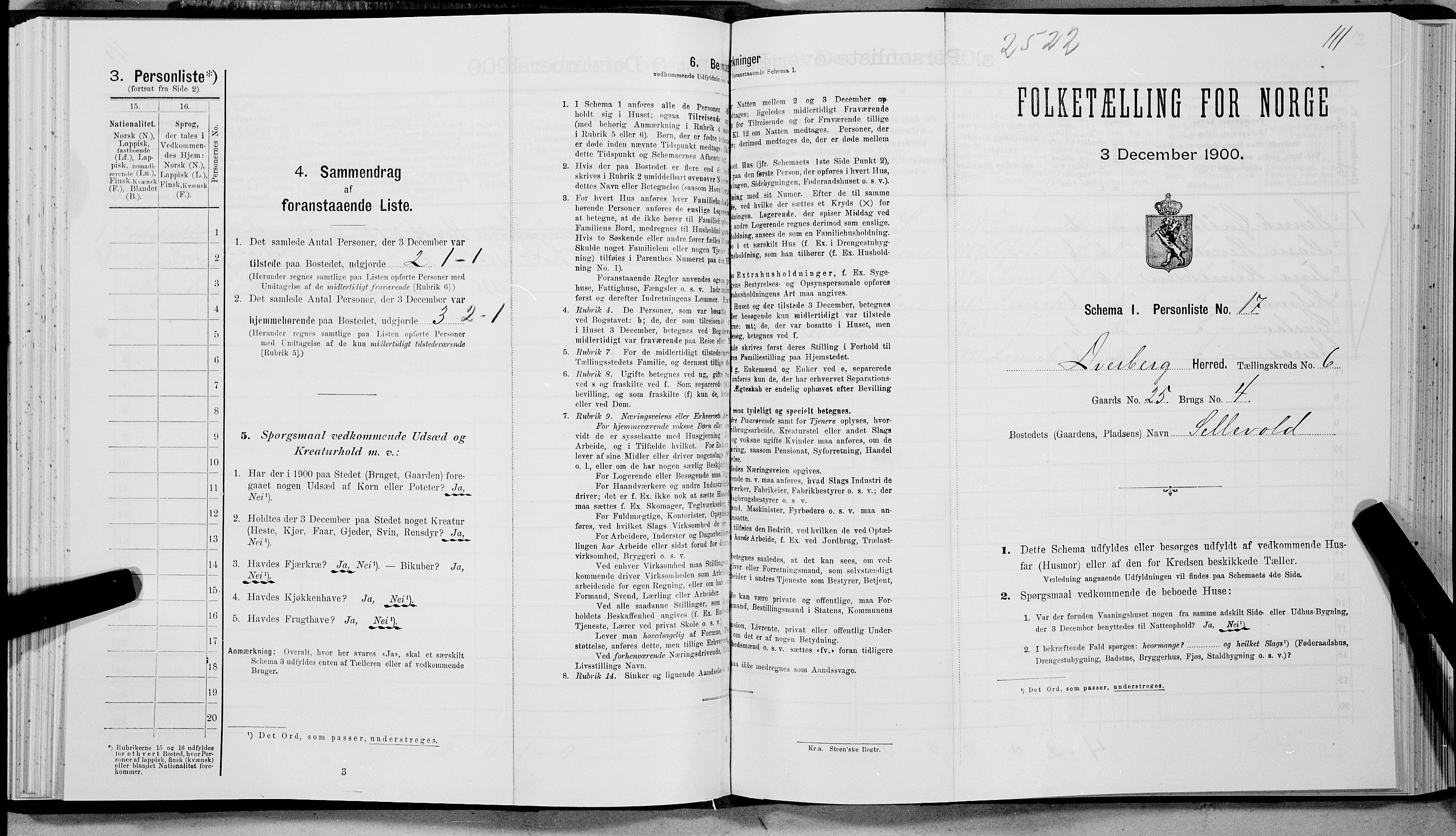 SAT, Folketelling 1900 for 1872 Dverberg herred, 1900, s. 491