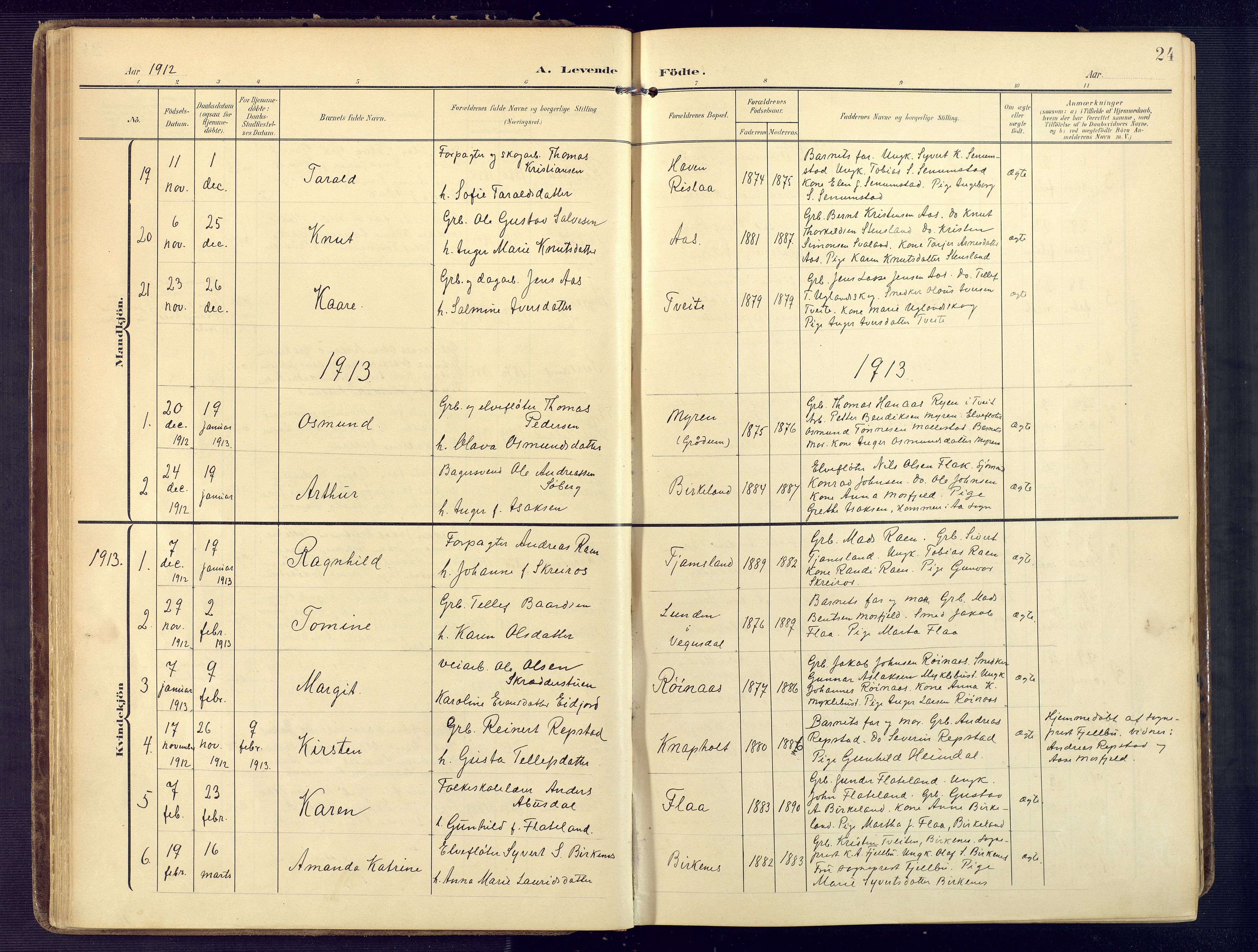 Birkenes sokneprestkontor, AV/SAK-1111-0004/F/Fa/L0006: Ministerialbok nr. A 6, 1908-1932, s. 24