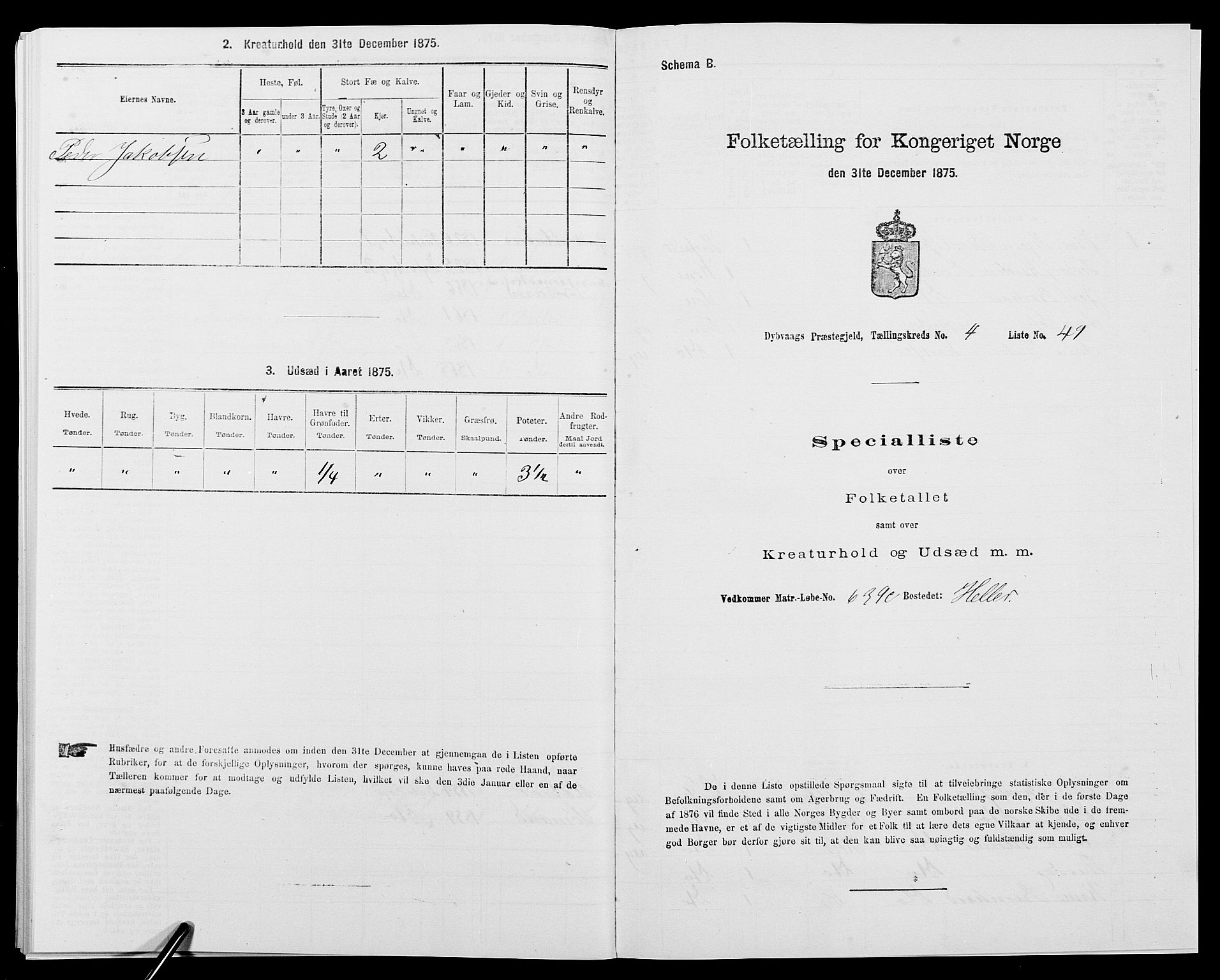 SAK, Folketelling 1875 for 0915P Dypvåg prestegjeld, 1875, s. 531