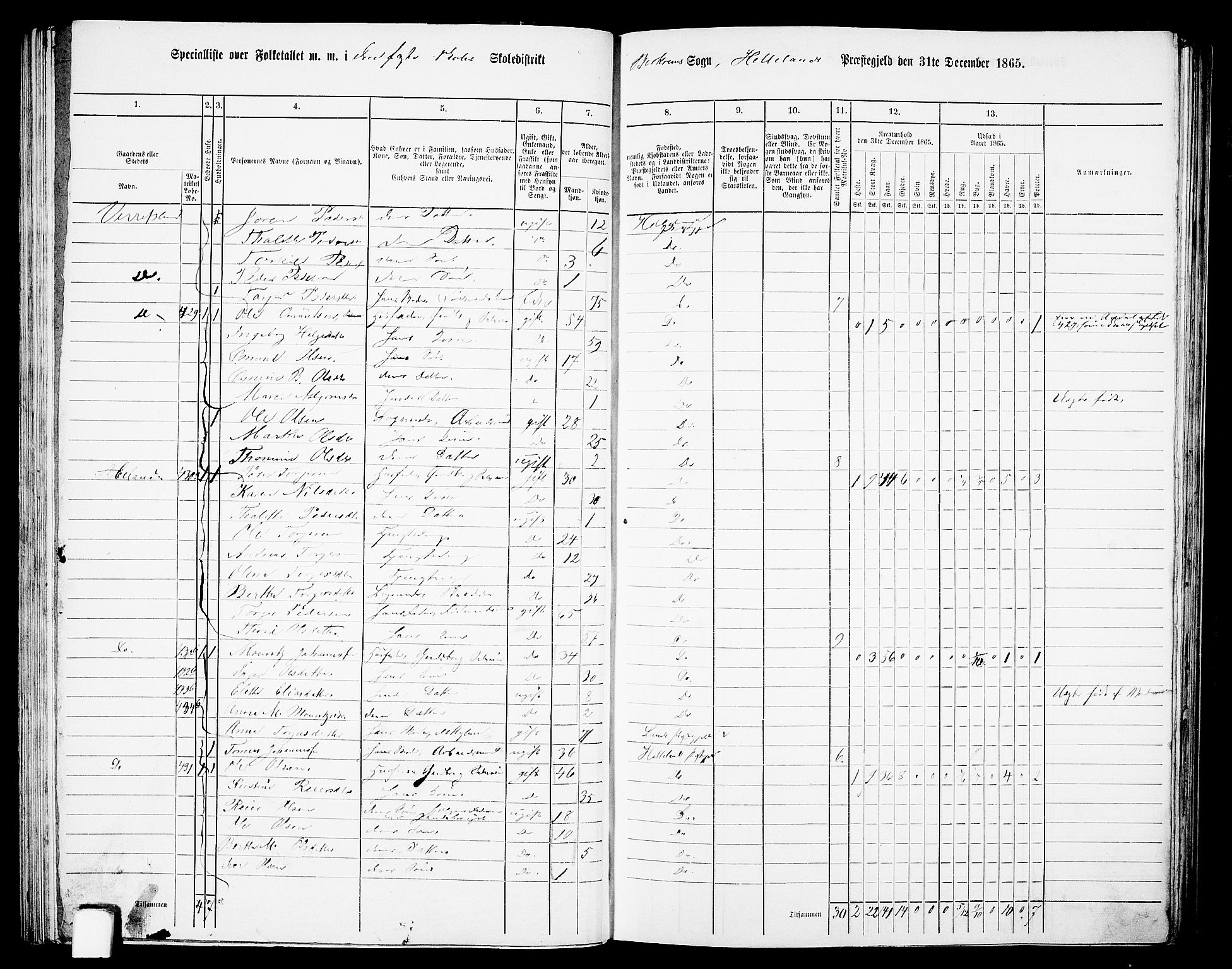 RA, Folketelling 1865 for 1115P Helleland prestegjeld, 1865, s. 77