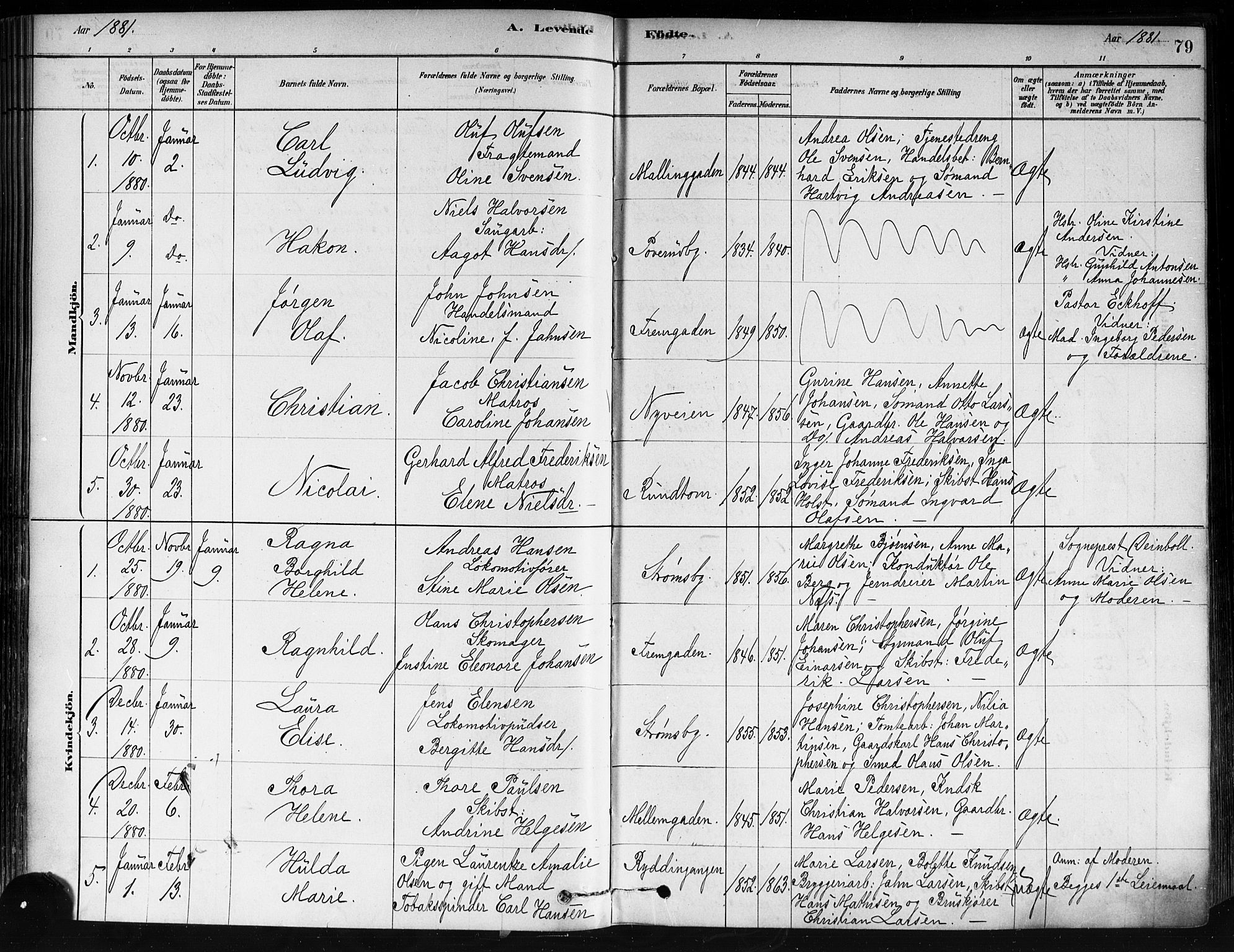 Strømsø kirkebøker, AV/SAKO-A-246/F/Fa/L0021: Ministerialbok nr. I 21, 1878-1885, s. 79