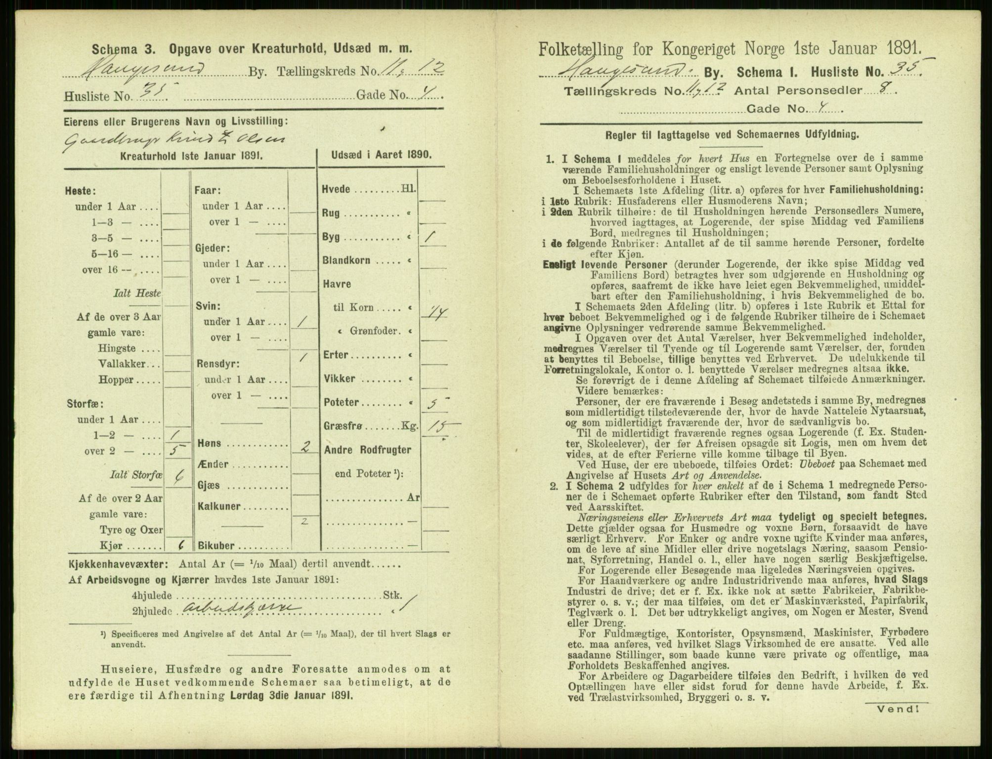 RA, Folketelling 1891 for 1106 Haugesund kjøpstad, 1891, s. 834