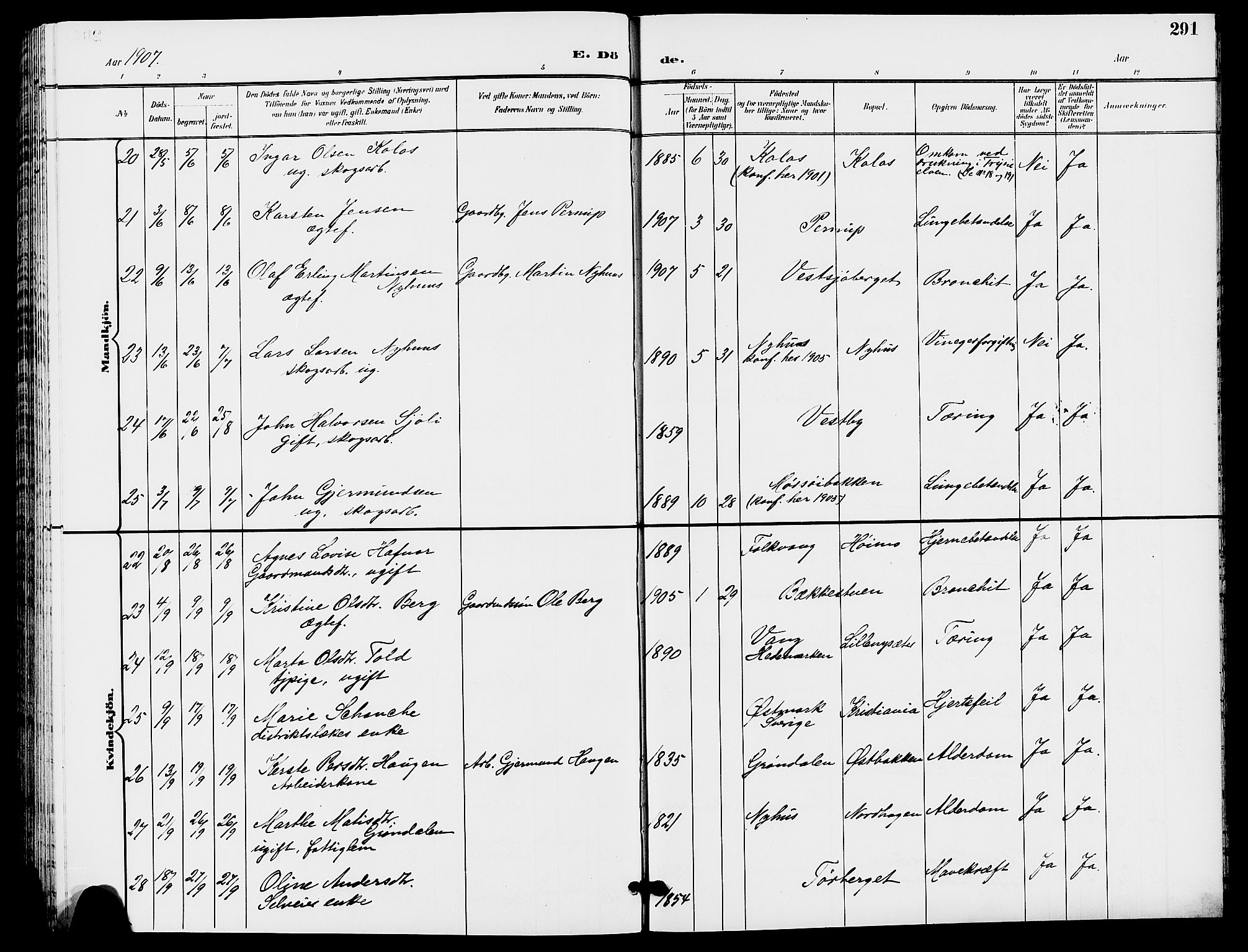 Trysil prestekontor, AV/SAH-PREST-046/H/Ha/Hab/L0006: Klokkerbok nr. 6, 1896-1912, s. 291