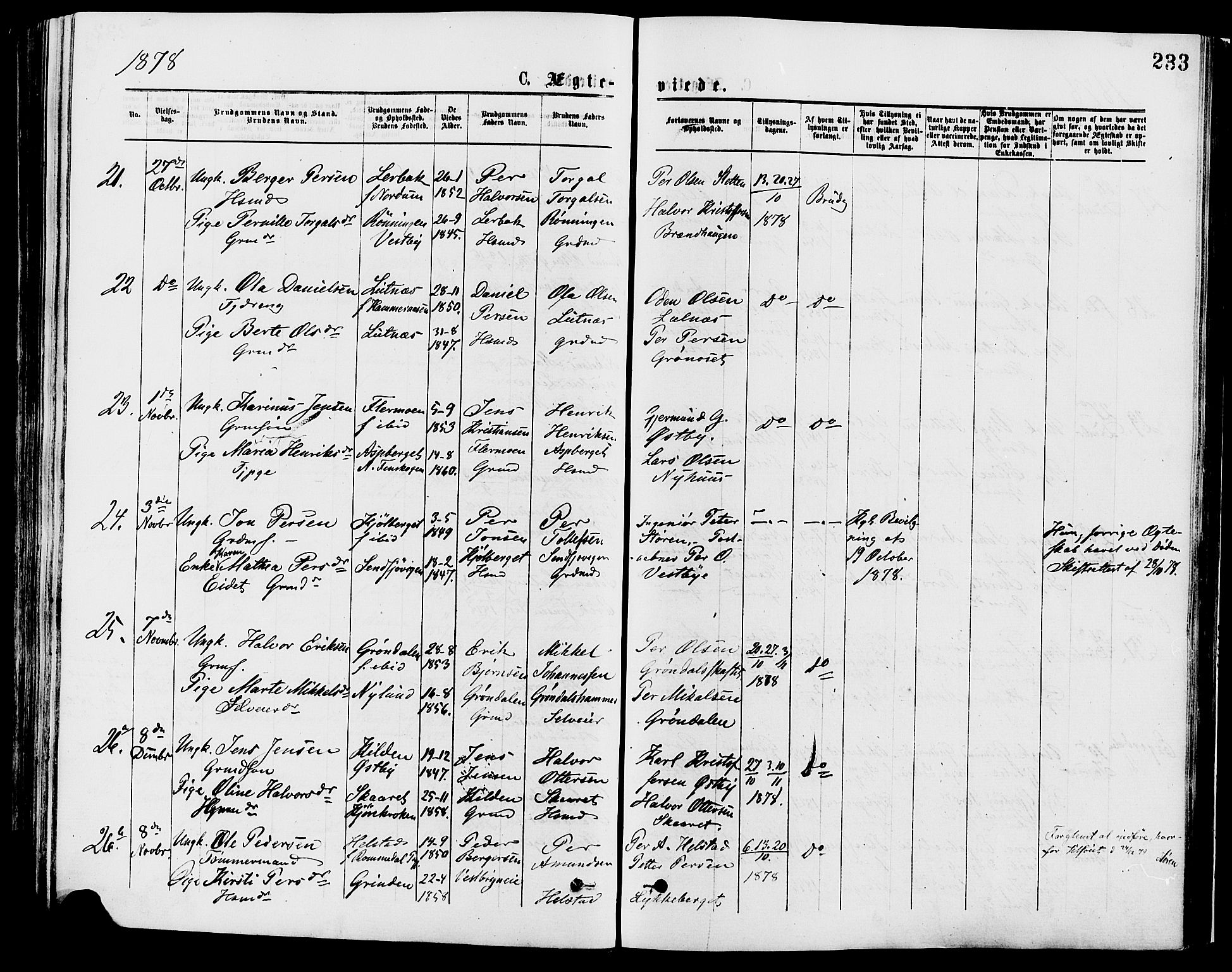 Trysil prestekontor, AV/SAH-PREST-046/H/Ha/Haa/L0007: Ministerialbok nr. 7, 1874-1880, s. 233