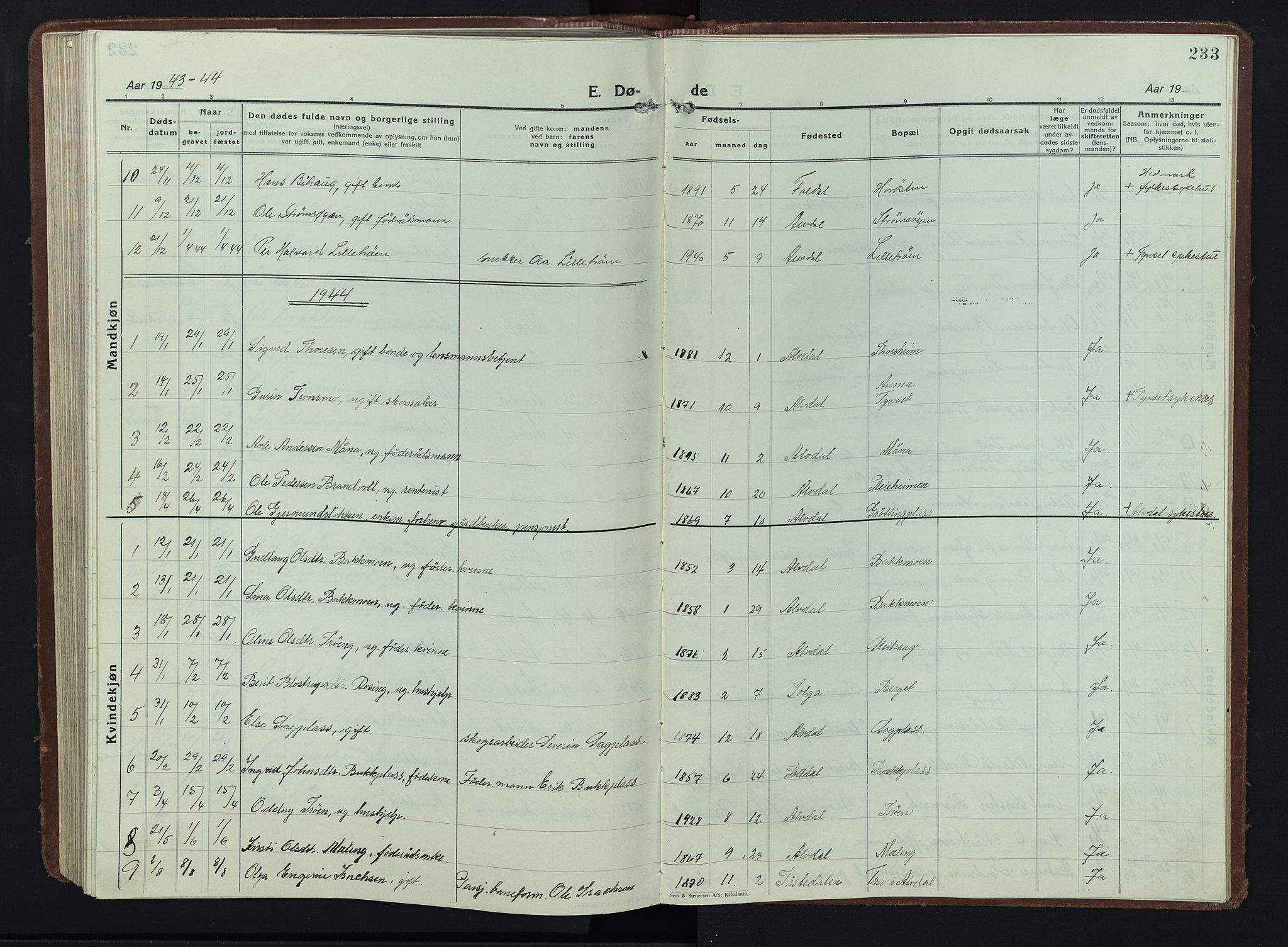 Alvdal prestekontor, SAH/PREST-060/H/Ha/Hab/L0007: Klokkerbok nr. 7, 1924-1945, s. 233