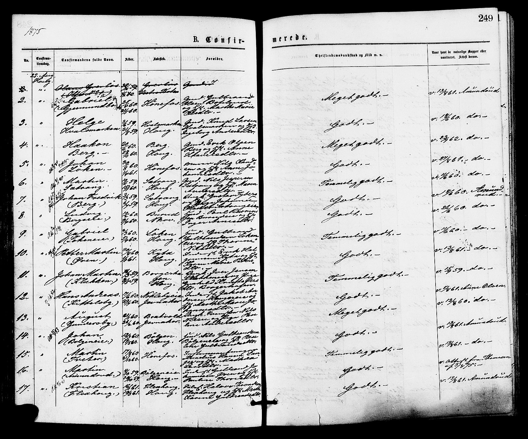 Norderhov kirkebøker, AV/SAKO-A-237/F/Fa/L0015: Ministerialbok nr. 15, 1875-1884, s. 249