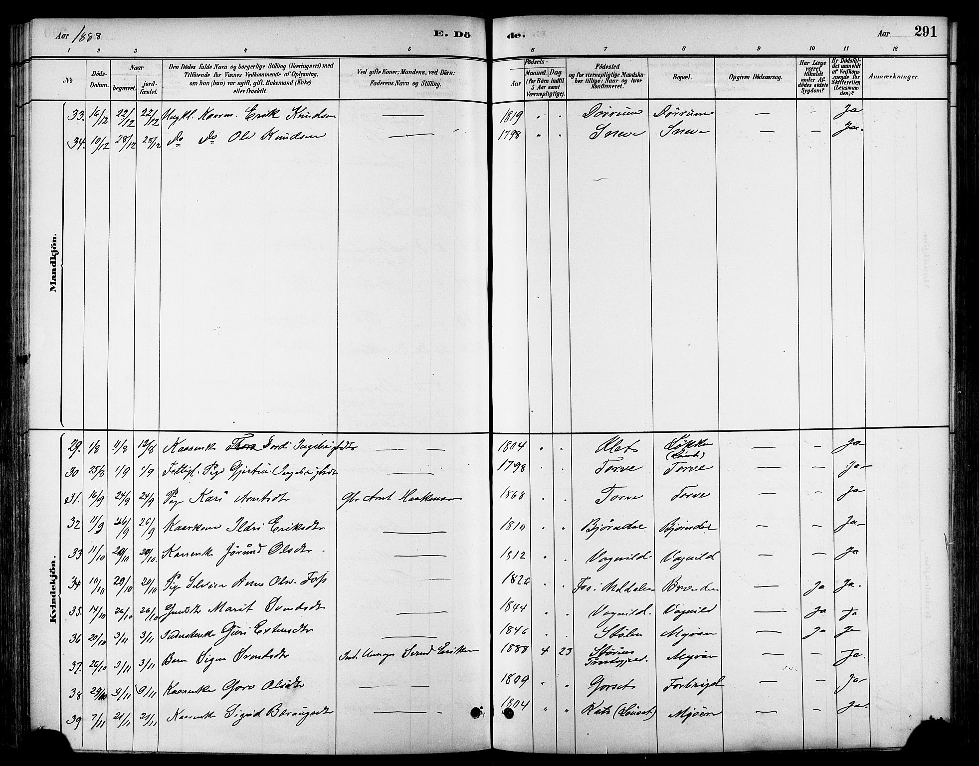 Ministerialprotokoller, klokkerbøker og fødselsregistre - Sør-Trøndelag, SAT/A-1456/678/L0901: Ministerialbok nr. 678A10, 1881-1894, s. 291