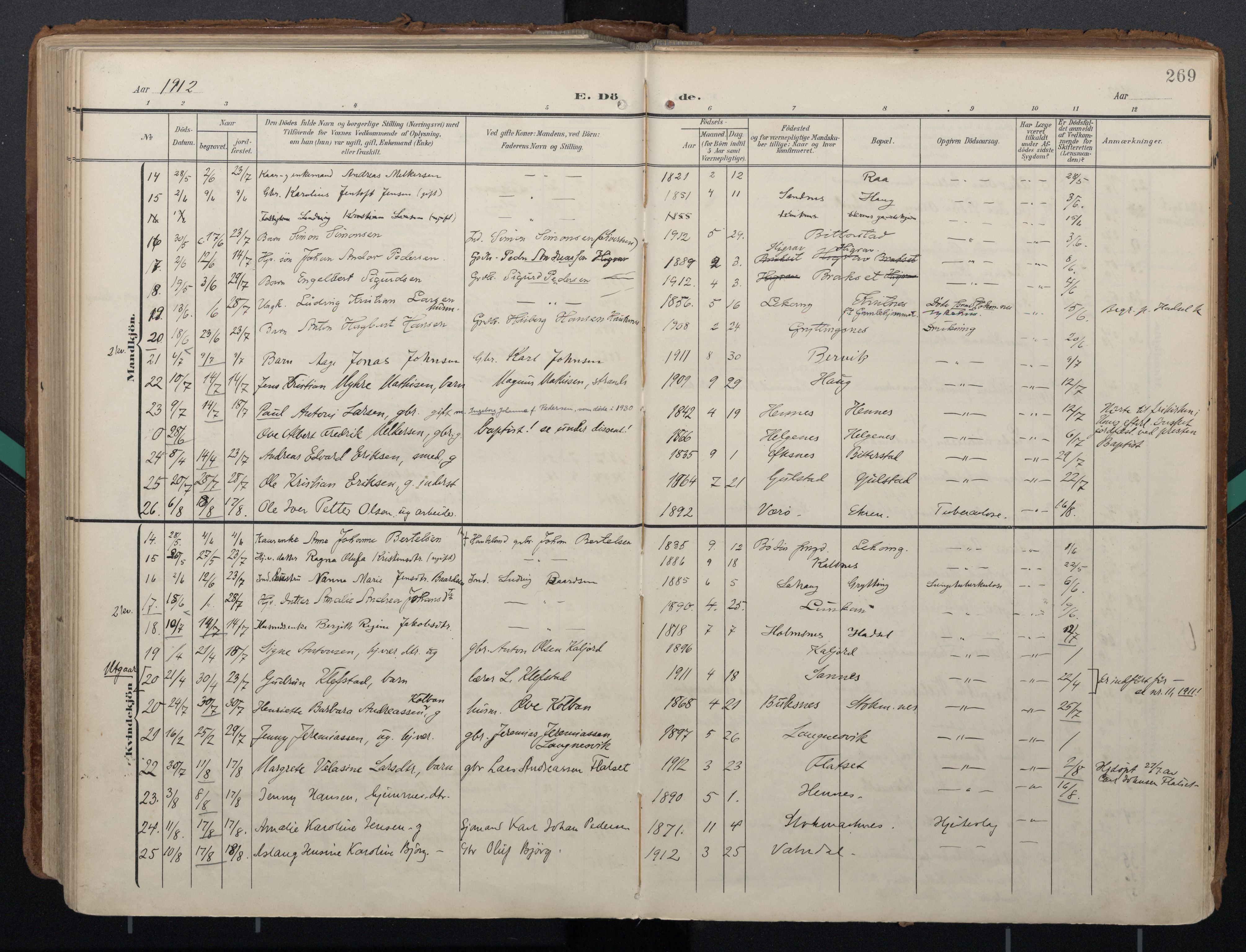 Ministerialprotokoller, klokkerbøker og fødselsregistre - Nordland, AV/SAT-A-1459/888/L1248: Ministerialbok nr. 888A14, 1904-1913, s. 269