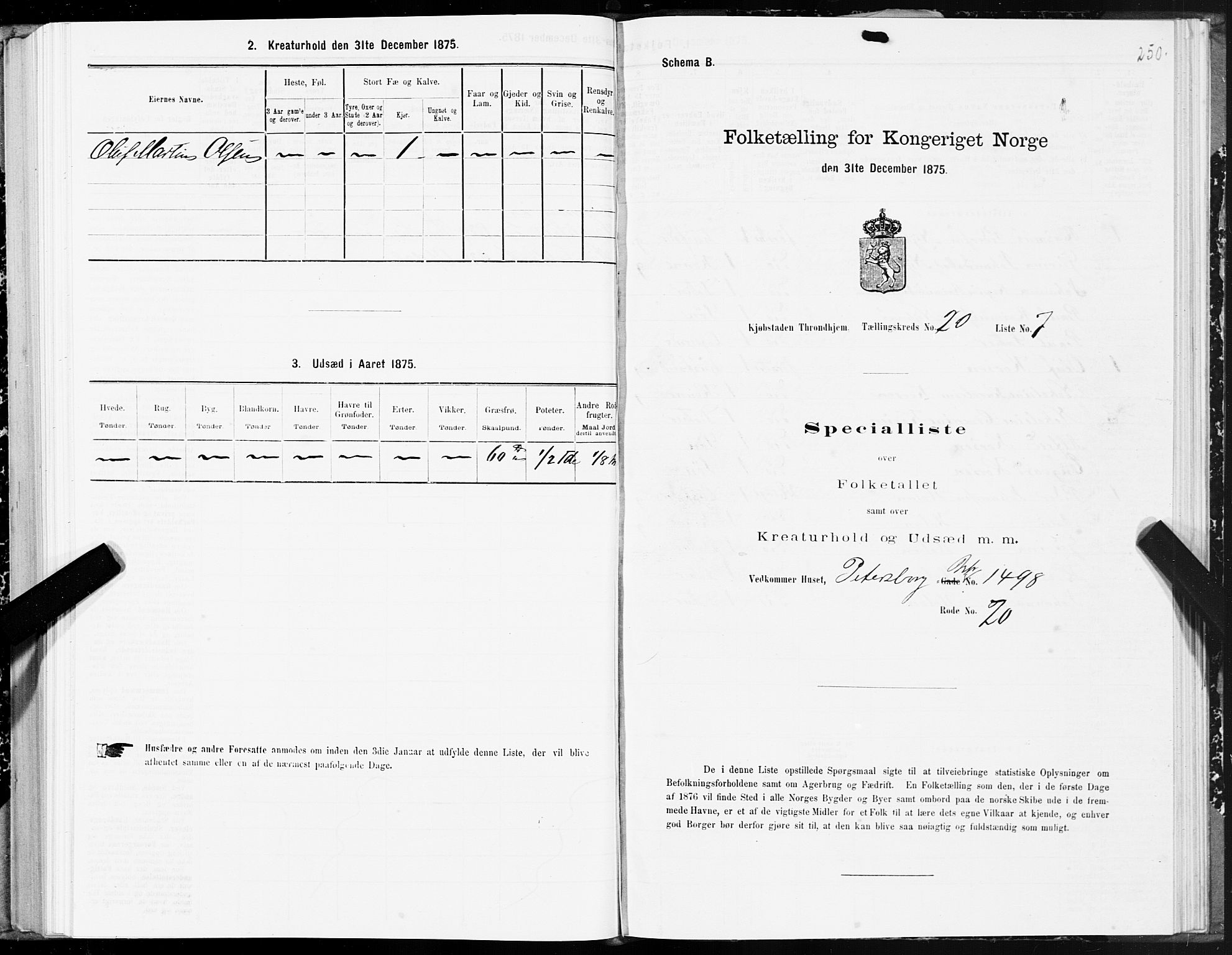 SAT, Folketelling 1875 for 1601 Trondheim kjøpstad, 1875, s. 10250