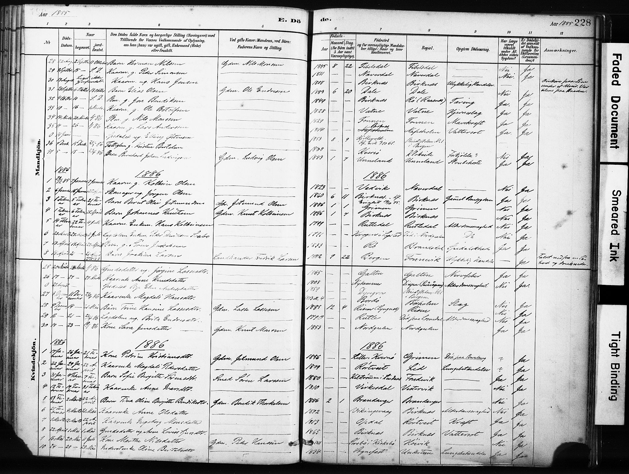 Gulen sokneprestembete, AV/SAB-A-80201/H/Haa/Haab/L0001: Ministerialbok nr. B 1, 1881-1905, s. 228