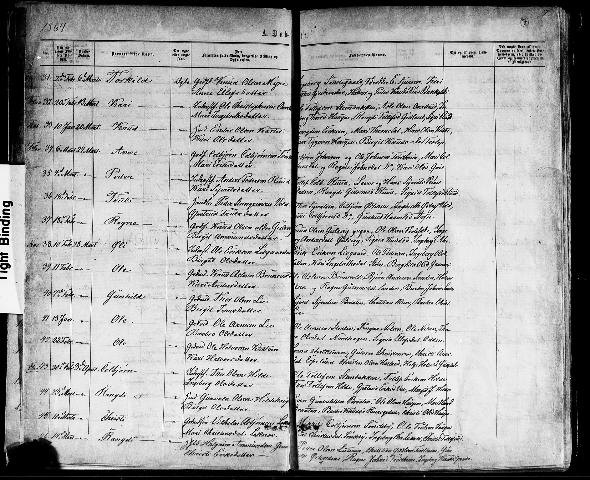 Nes kirkebøker, AV/SAKO-A-236/F/Fa/L0010: Ministerialbok nr. 10, 1864-1880, s. 7