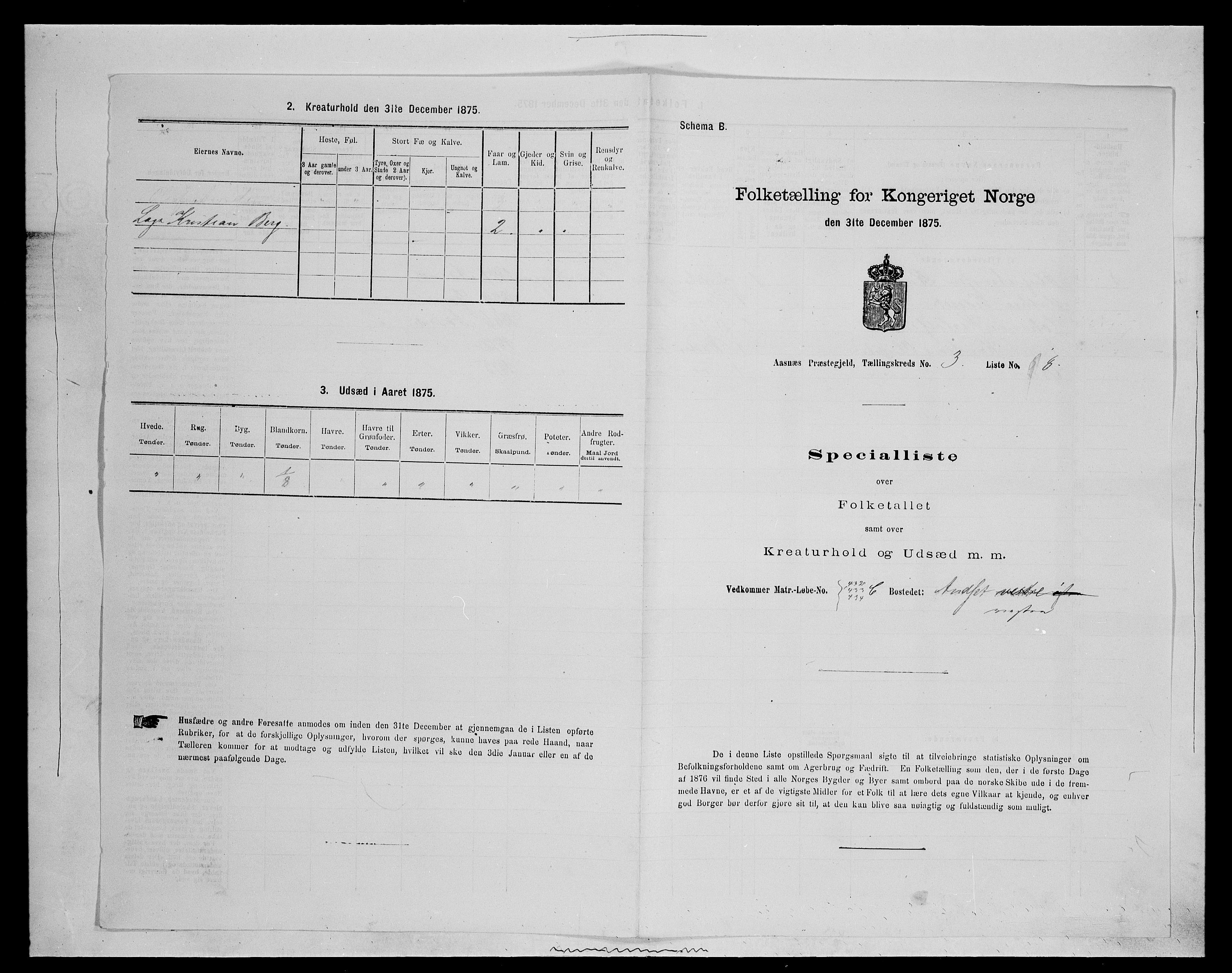 SAH, Folketelling 1875 for 0425P Åsnes prestegjeld, 1875, s. 320