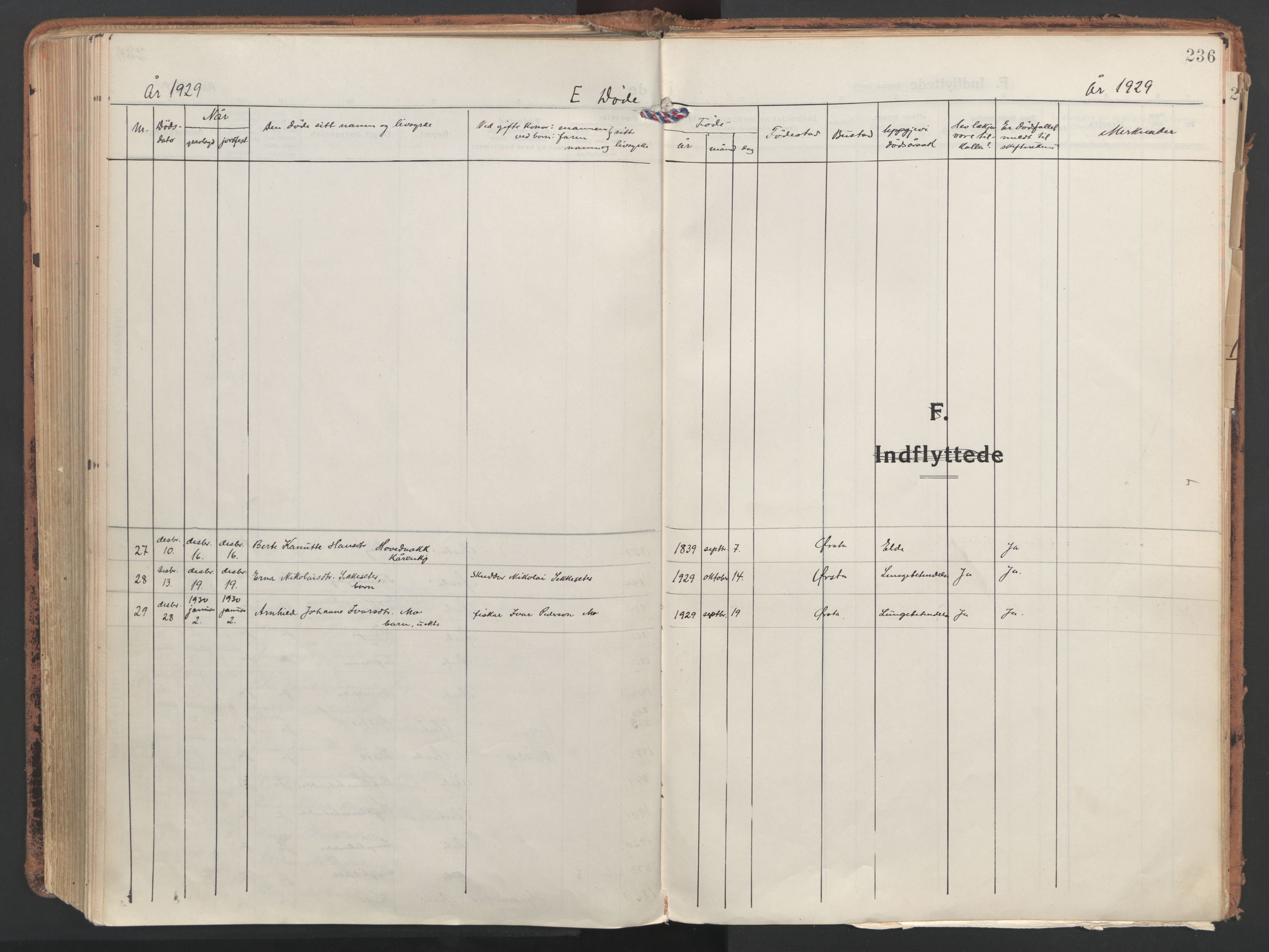 Ministerialprotokoller, klokkerbøker og fødselsregistre - Møre og Romsdal, AV/SAT-A-1454/513/L0180: Ministerialbok nr. 513A07, 1919-1929, s. 236