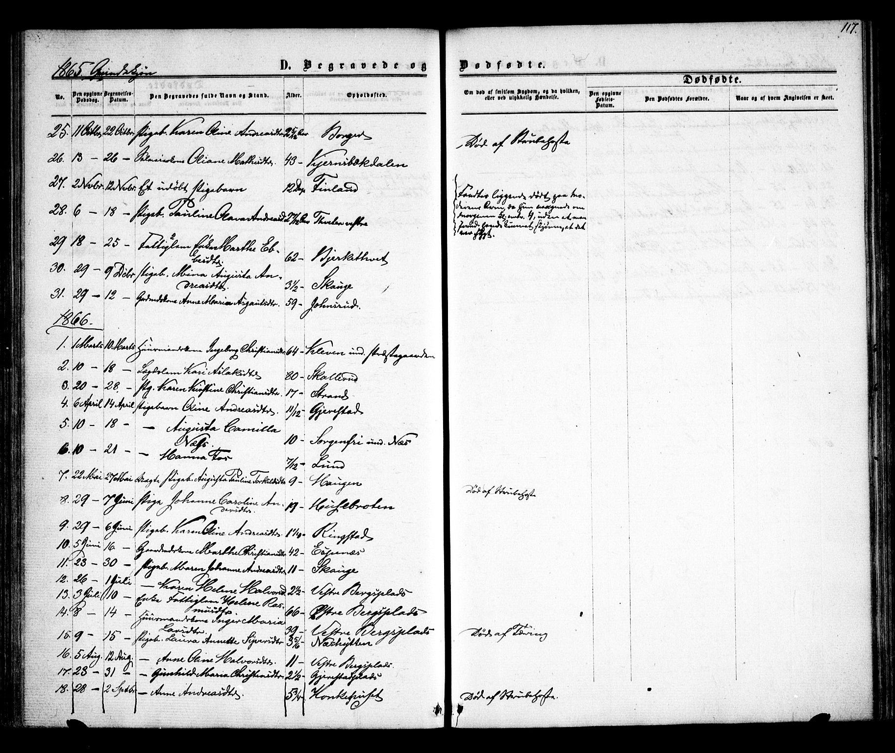 Skiptvet prestekontor Kirkebøker, AV/SAO-A-20009/F/Fa/L0007: Ministerialbok nr. 7, 1861-1866, s. 117