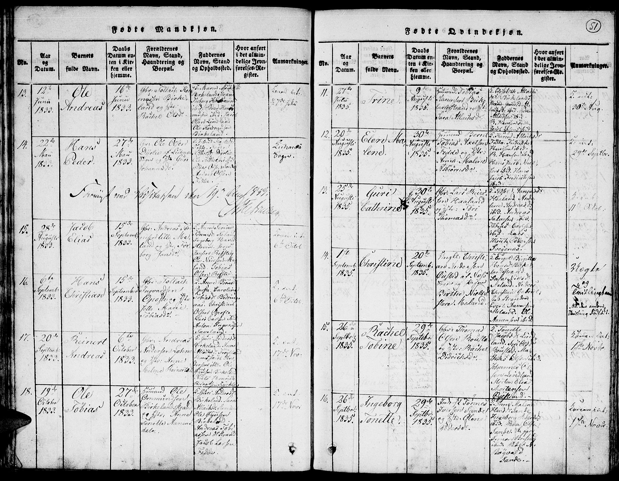 Kvinesdal sokneprestkontor, AV/SAK-1111-0026/F/Fa/Faa/L0001: Ministerialbok nr. A 1, 1815-1849, s. 51