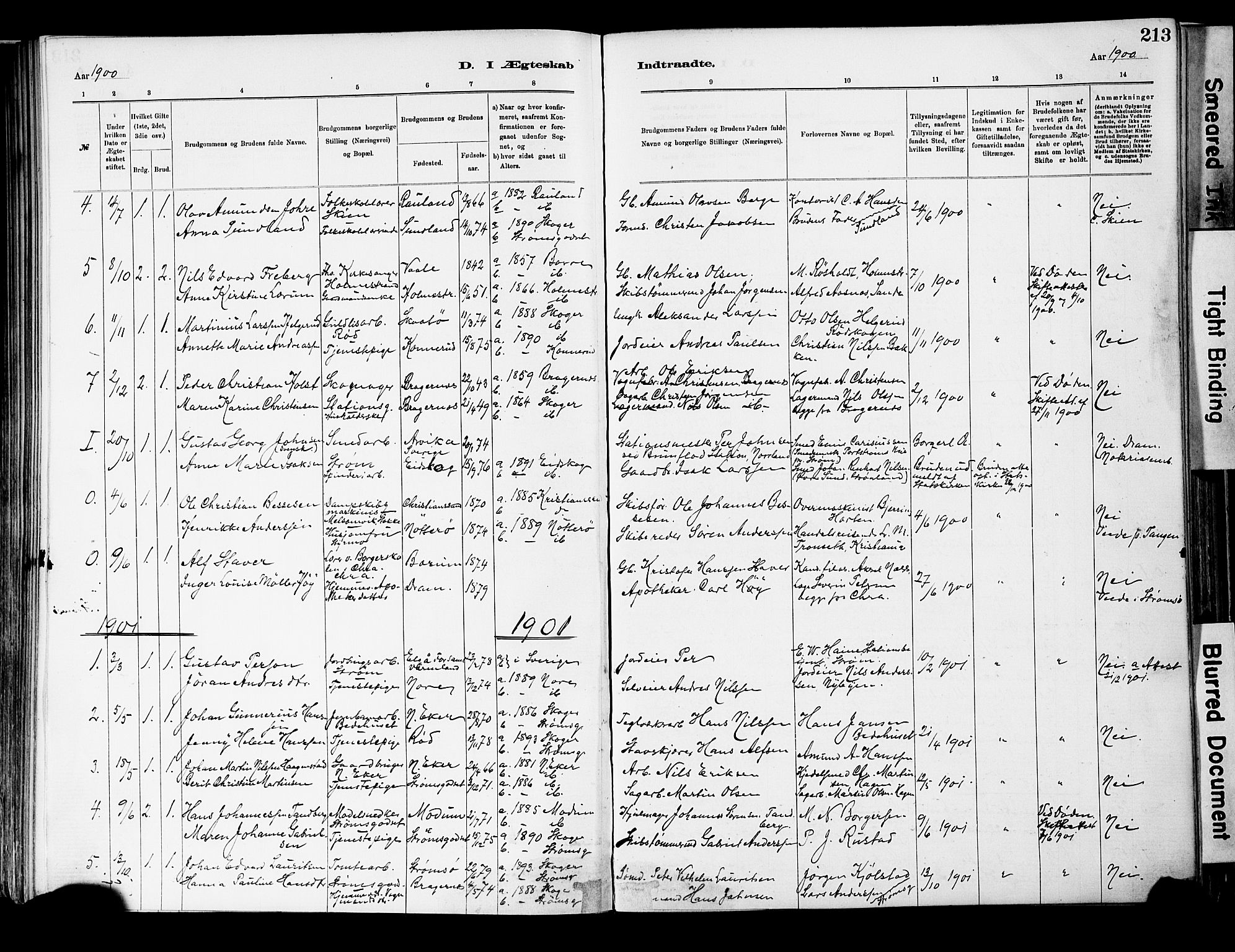 Strømsgodset kirkebøker, AV/SAKO-A-324/F/Fa/L0001: Ministerialbok nr. 1, 1885-1909, s. 213