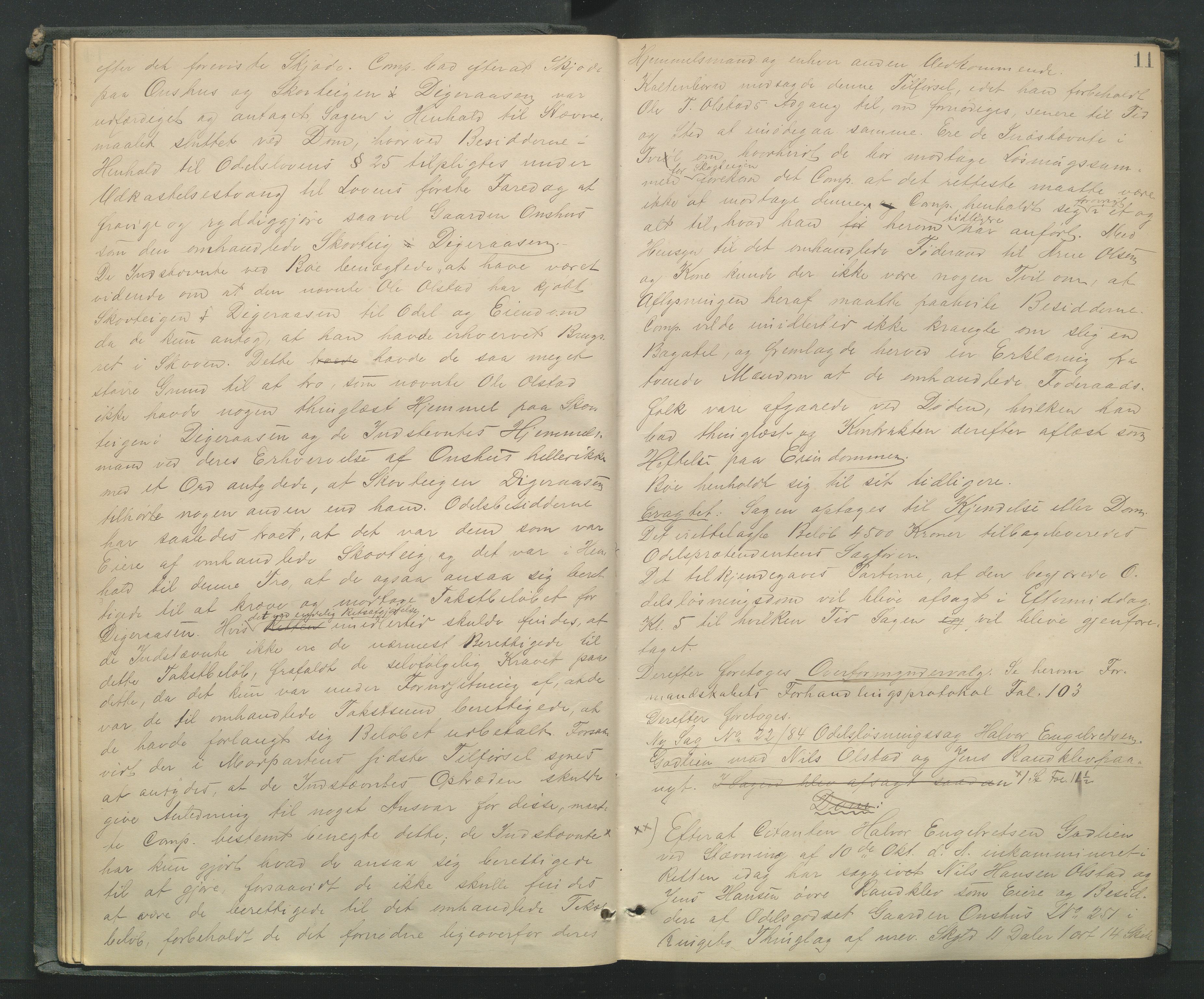 Mellom-Gudbrandsdal sorenskriveri, AV/SAH-TING-038/G/Gb/L0007: Tingbok, 1884-1888, s. 10b-11a