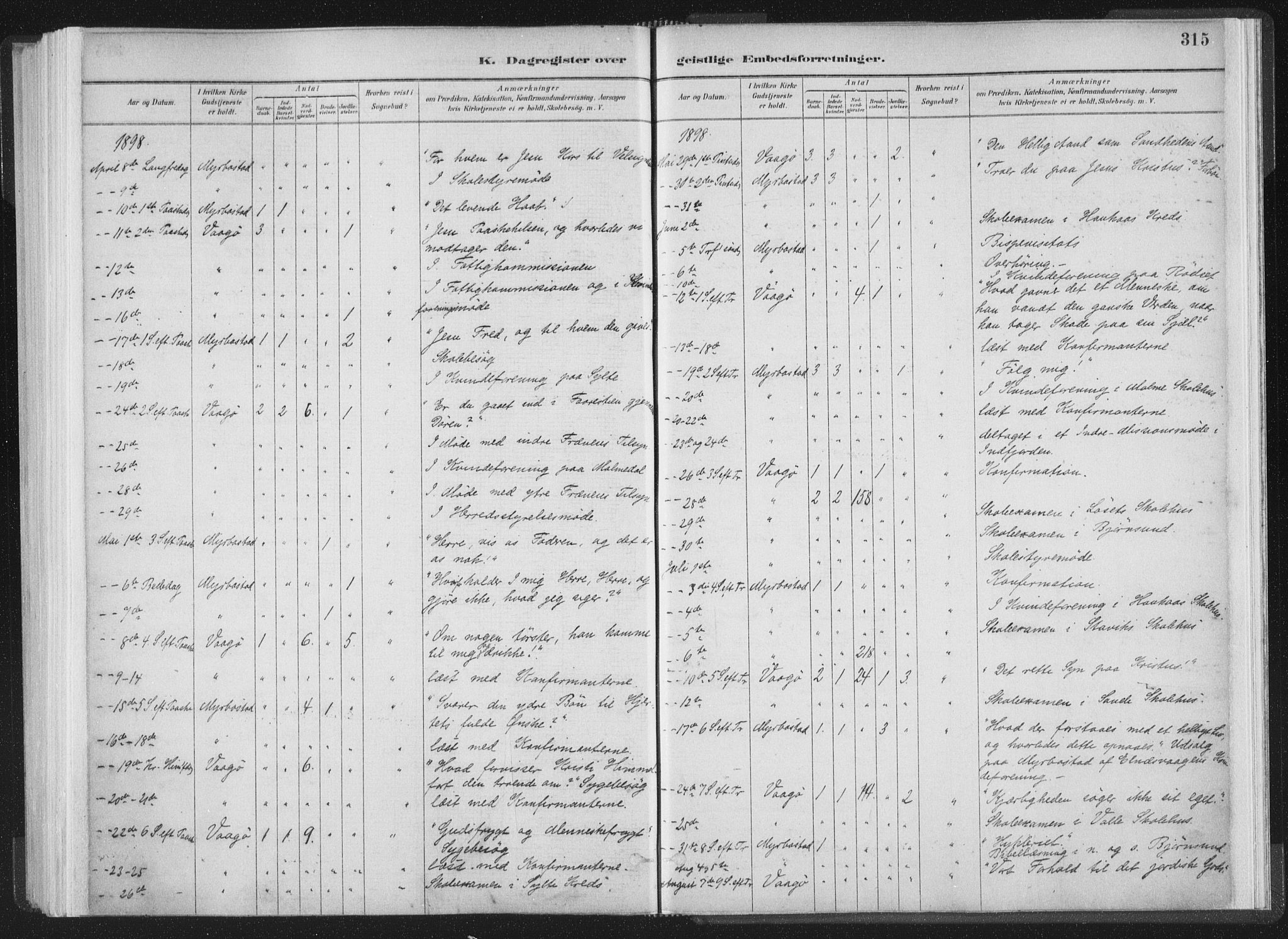 Ministerialprotokoller, klokkerbøker og fødselsregistre - Møre og Romsdal, AV/SAT-A-1454/564/L0740: Ministerialbok nr. 564A01, 1880-1899, s. 315