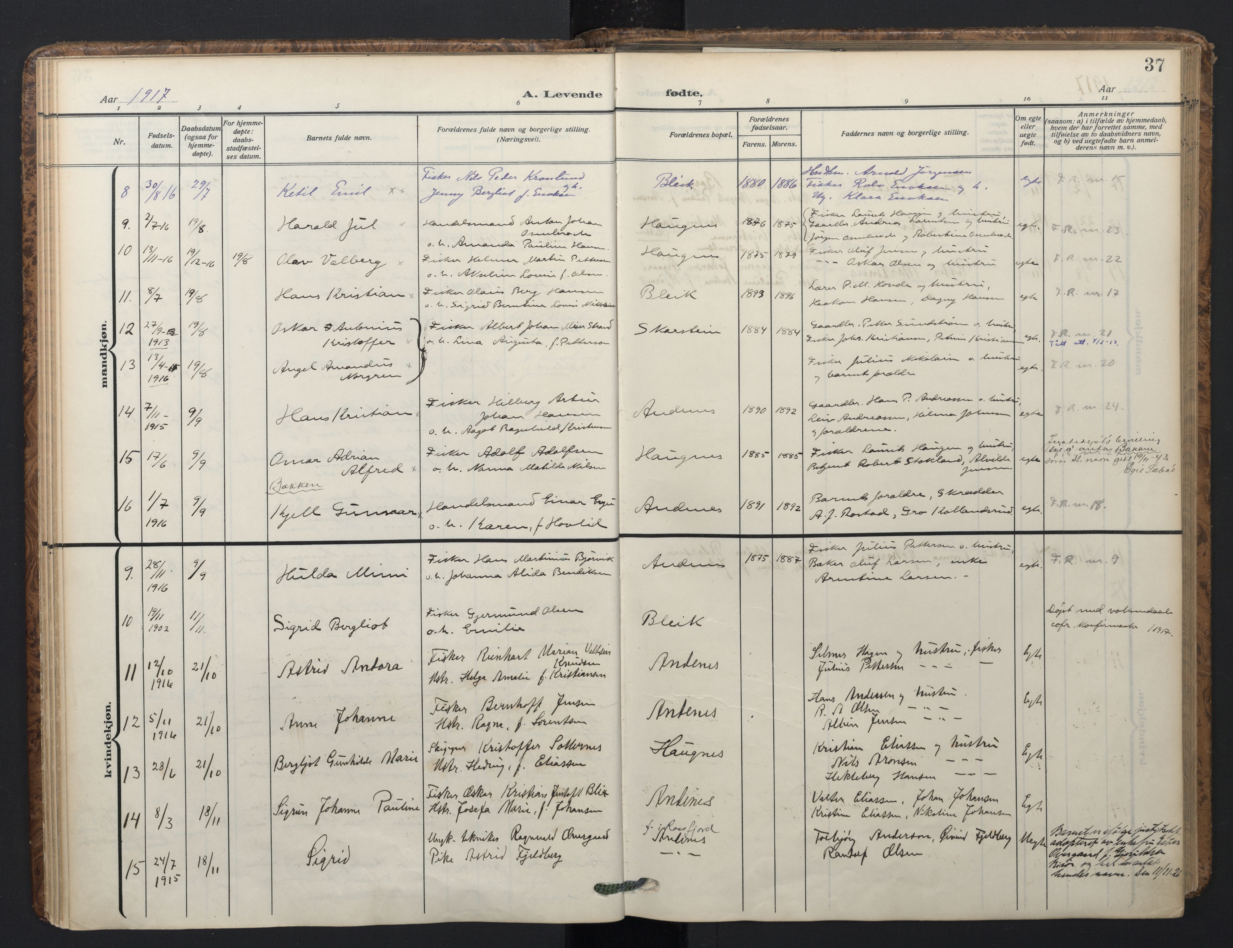 Ministerialprotokoller, klokkerbøker og fødselsregistre - Nordland, AV/SAT-A-1459/899/L1438: Ministerialbok nr. 899A06, 1909-1922, s. 37