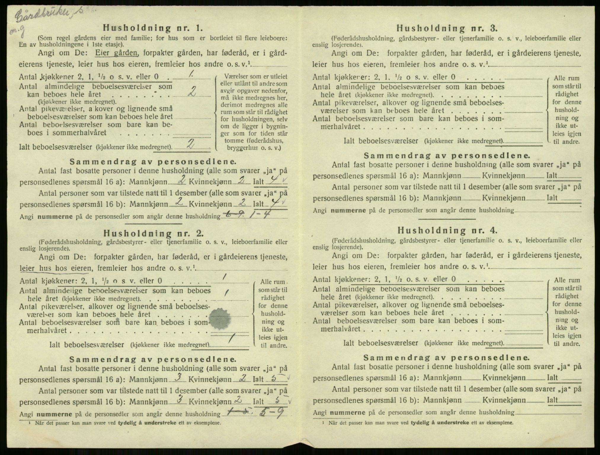 SAKO, Folketelling 1920 for 0615 Flå herred, 1920, s. 35