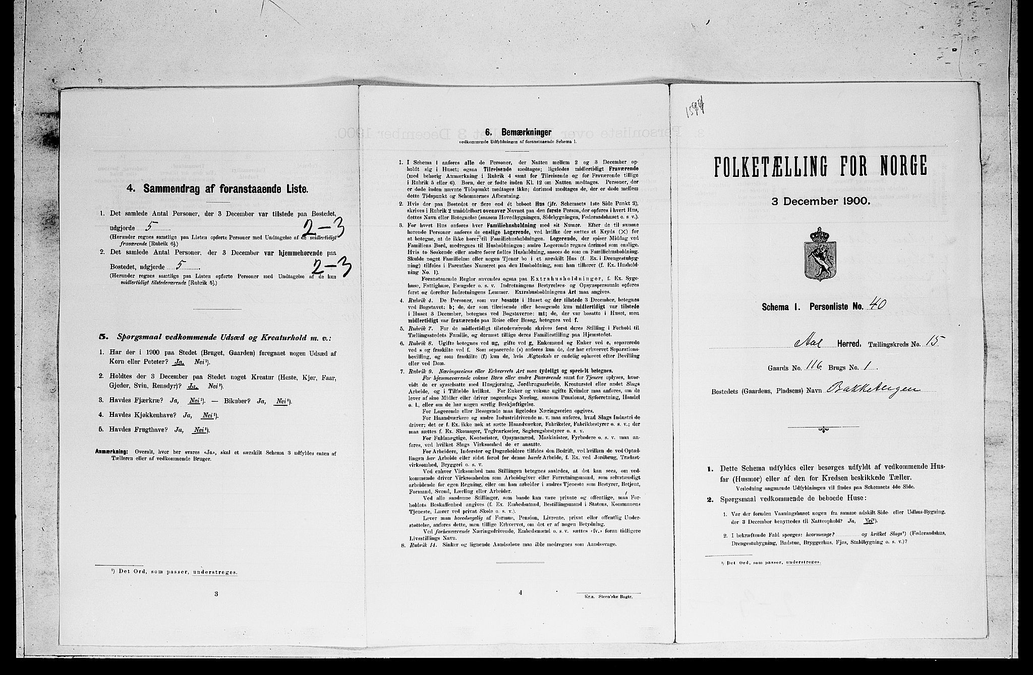 RA, Folketelling 1900 for 0619 Ål herred, 1900, s. 1243