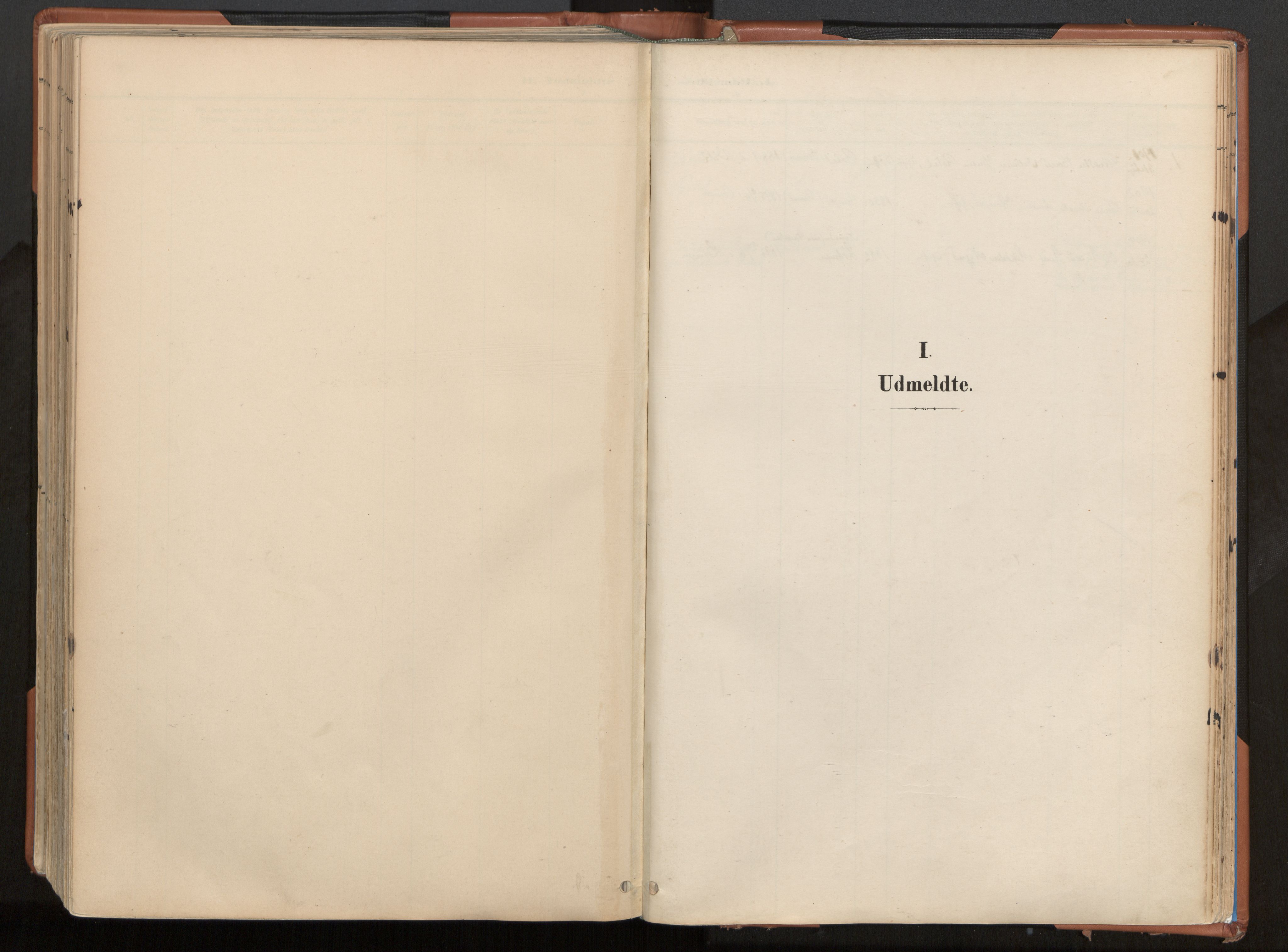 Ministerialprotokoller, klokkerbøker og fødselsregistre - Nordland, AV/SAT-A-1459/813/L0201: Ministerialbok nr. 813A11, 1901-1918