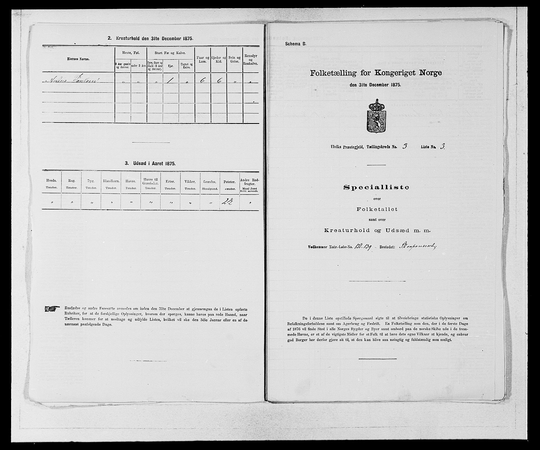 SAB, Folketelling 1875 for 1233P Ulvik prestegjeld, 1875, s. 494