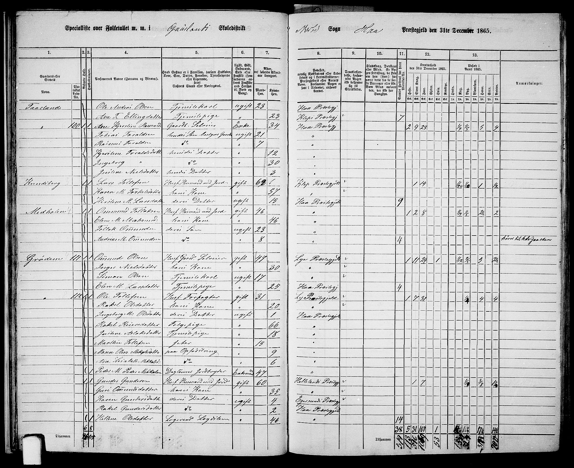 RA, Folketelling 1865 for 1119P Hå prestegjeld, 1865, s. 28