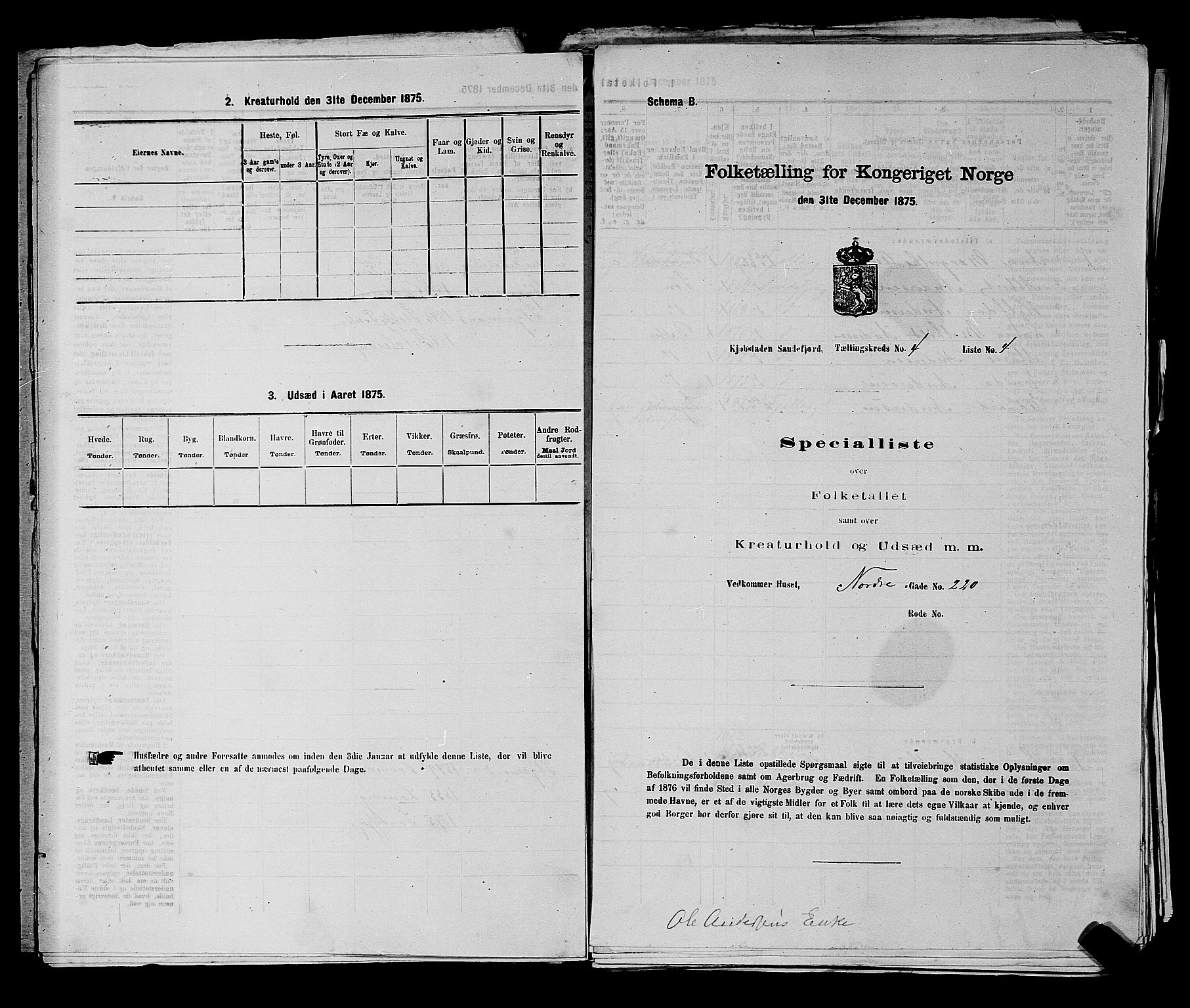 SAKO, Folketelling 1875 for 0706B Sandeherred prestegjeld, Sandefjord kjøpstad, 1875, s. 516