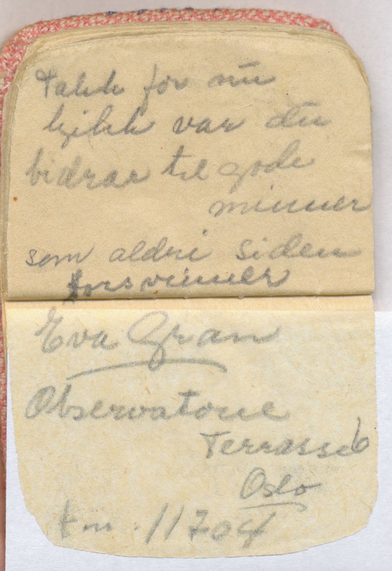 Falstadsenteret, dokumentsamling, FSM/A-001/F/L0494: Fredriksen, Ragna (1922) og Gunnar (1921), 1944-1945