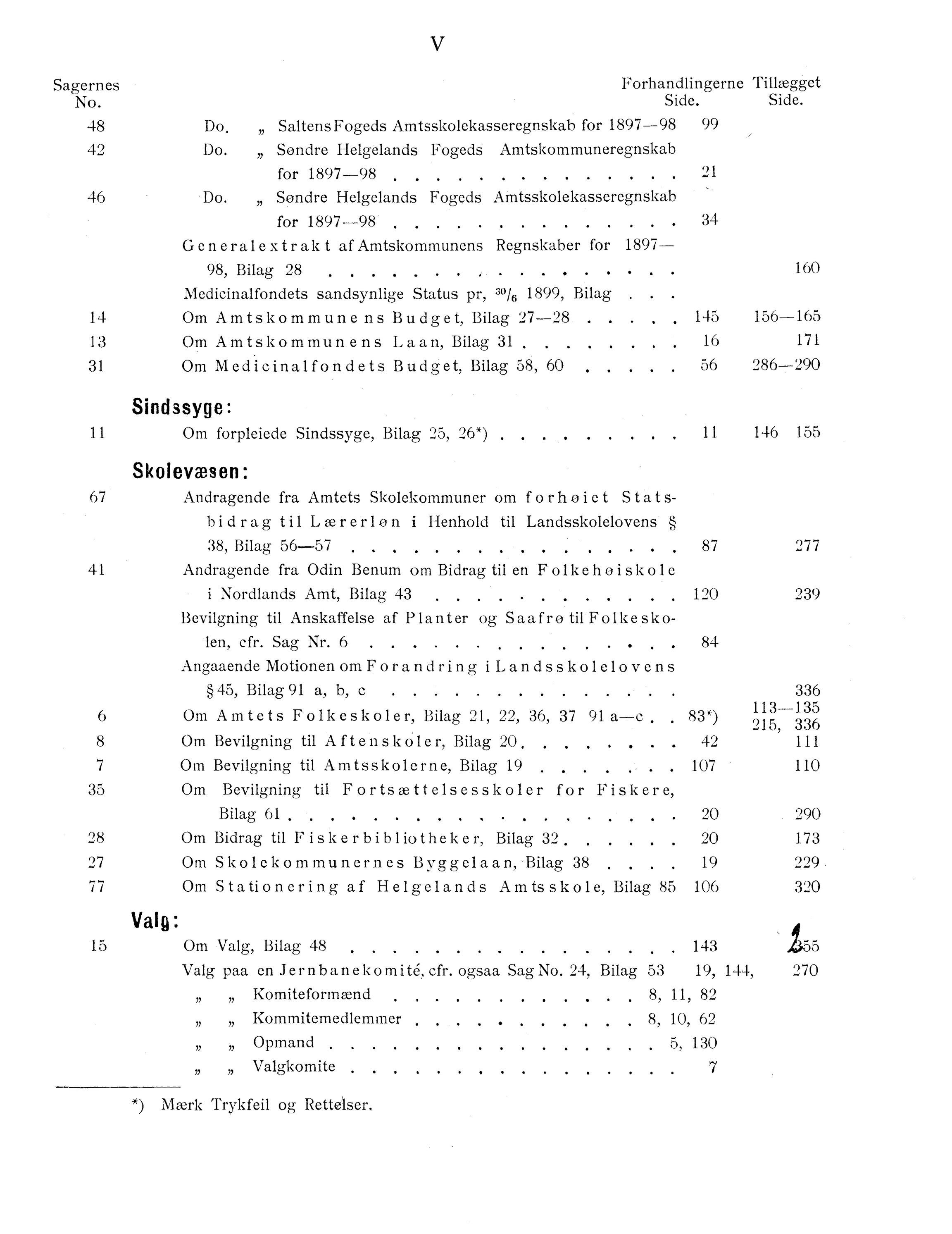 Nordland Fylkeskommune. Fylkestinget, AIN/NFK-17/176/A/Ac/L0022: Fylkestingsforhandlinger 1899, 1899