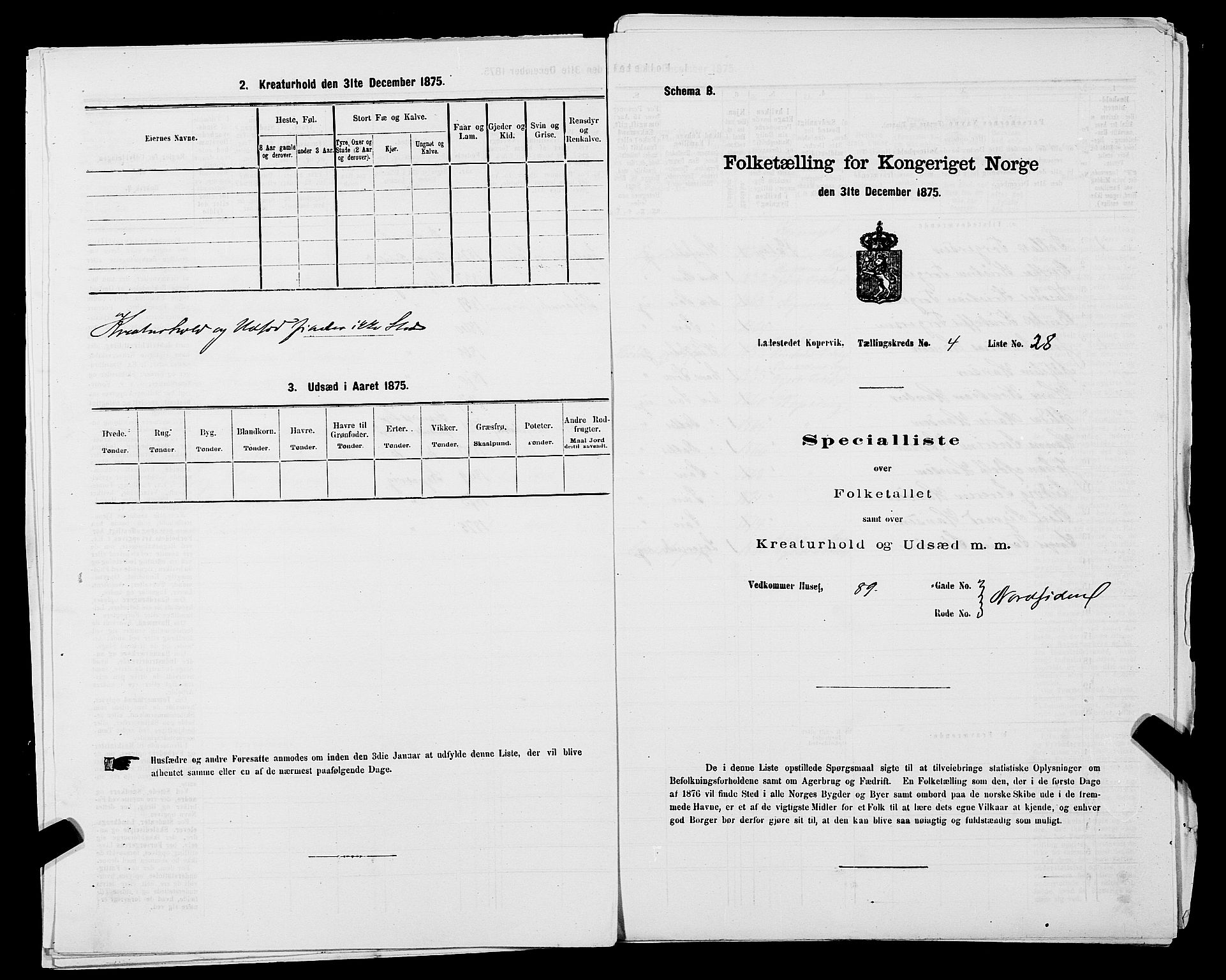 SAST, Folketelling 1875 for 1105B Avaldsnes prestegjeld, Kopervik ladested, 1875, s. 58