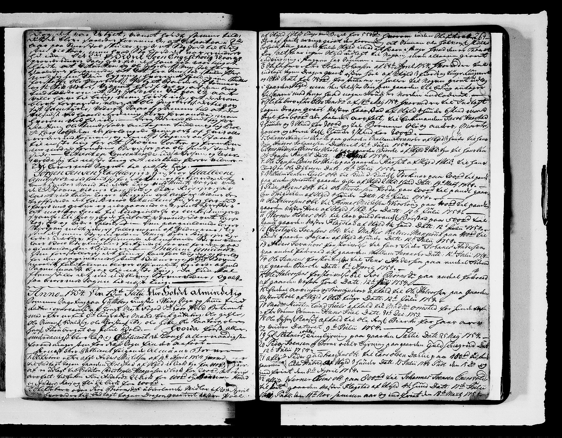 Hedemarken sorenskriveri, SAH/TING-034/G/Gb/L0048A: Tingbok, 1752-1754, s. 263b-264a